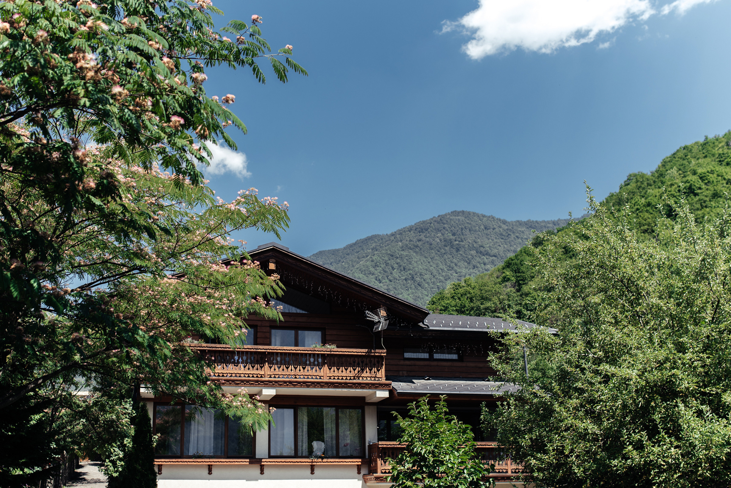 Evgeniy & Elena. Репортажный фотограф в Сочи Шевченко Алексей