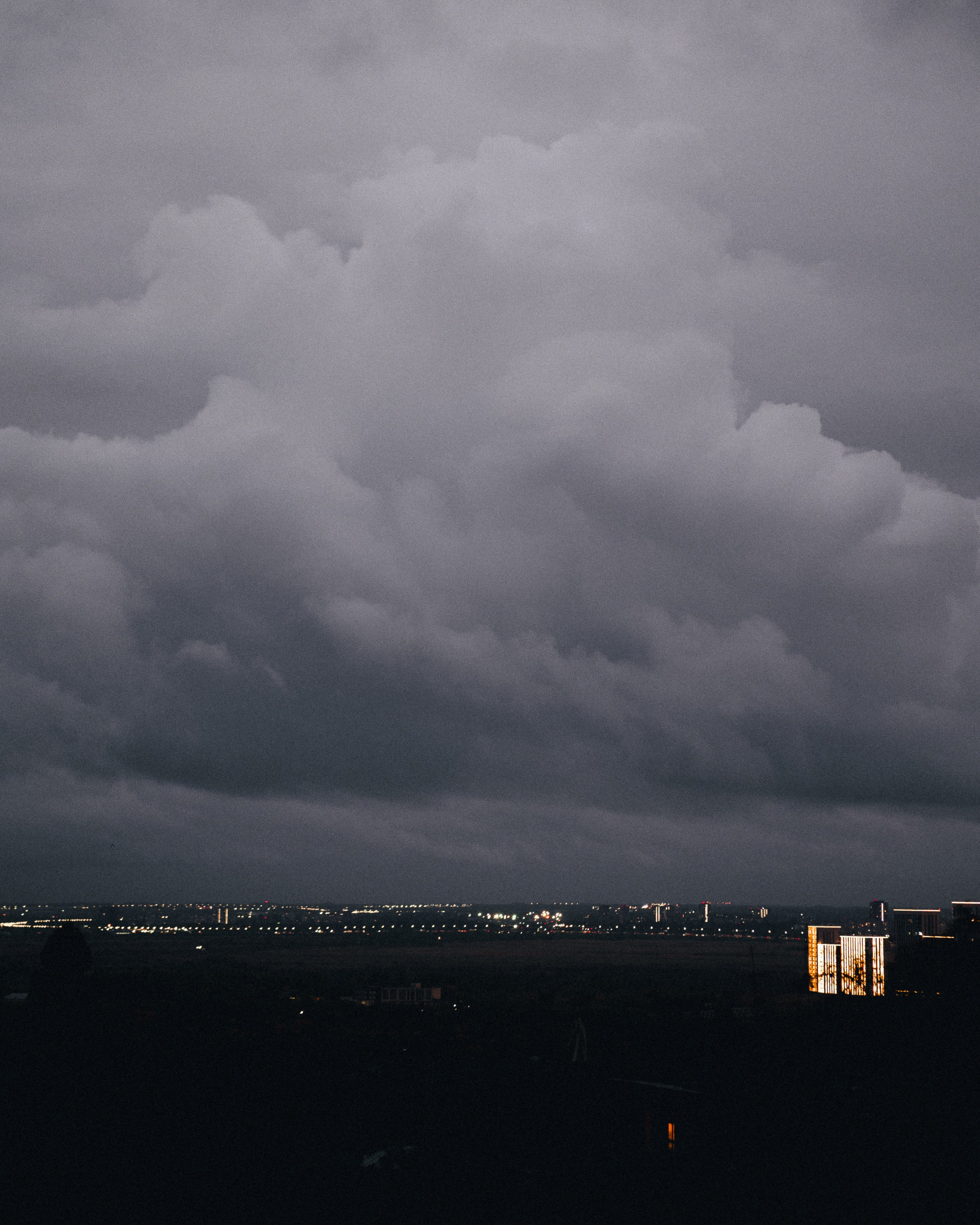 Домашняя фотосессия с питомцами