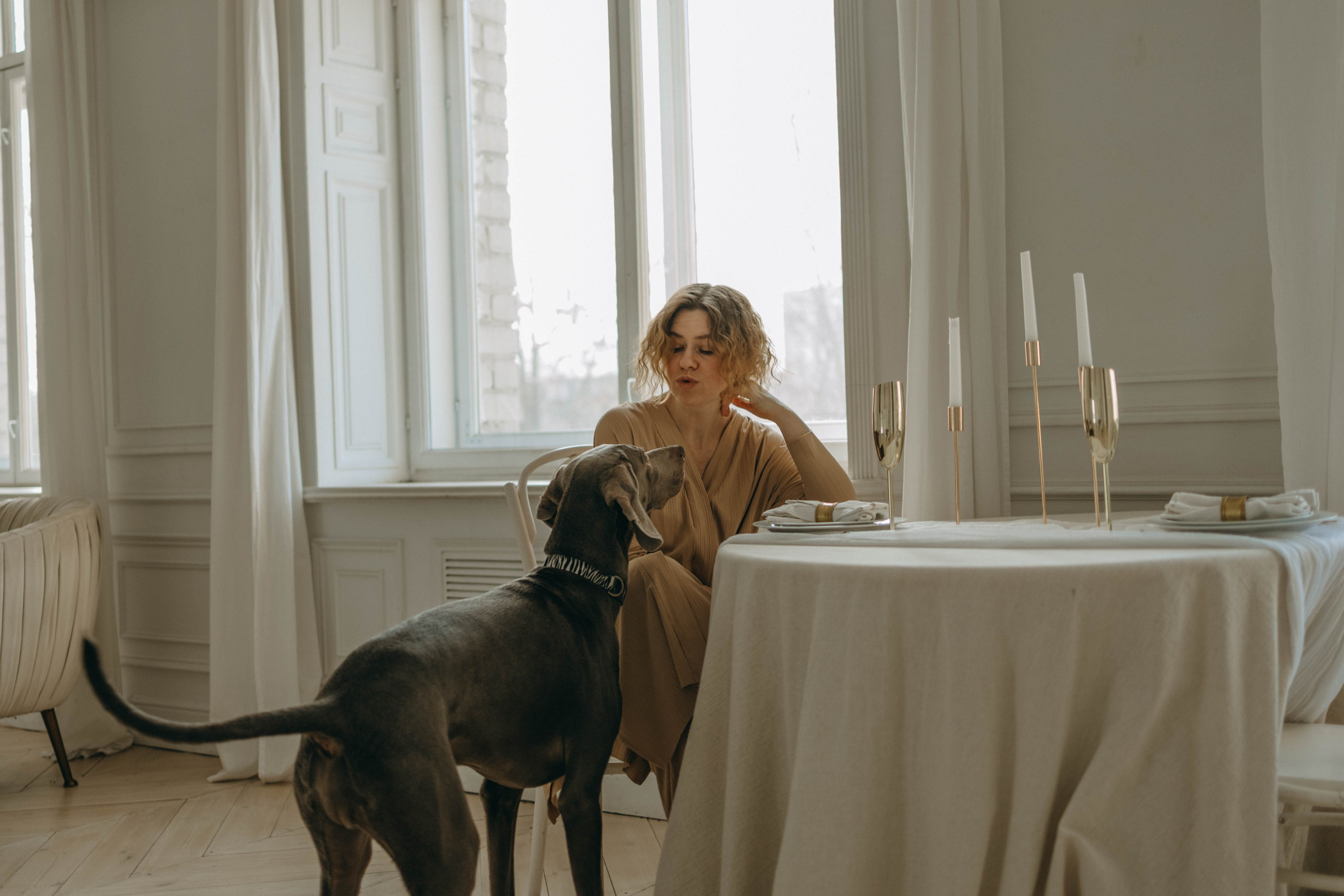 Фотосессия в студии с собакой. Фотограф-анималист в Екатеринбурге | Кристина