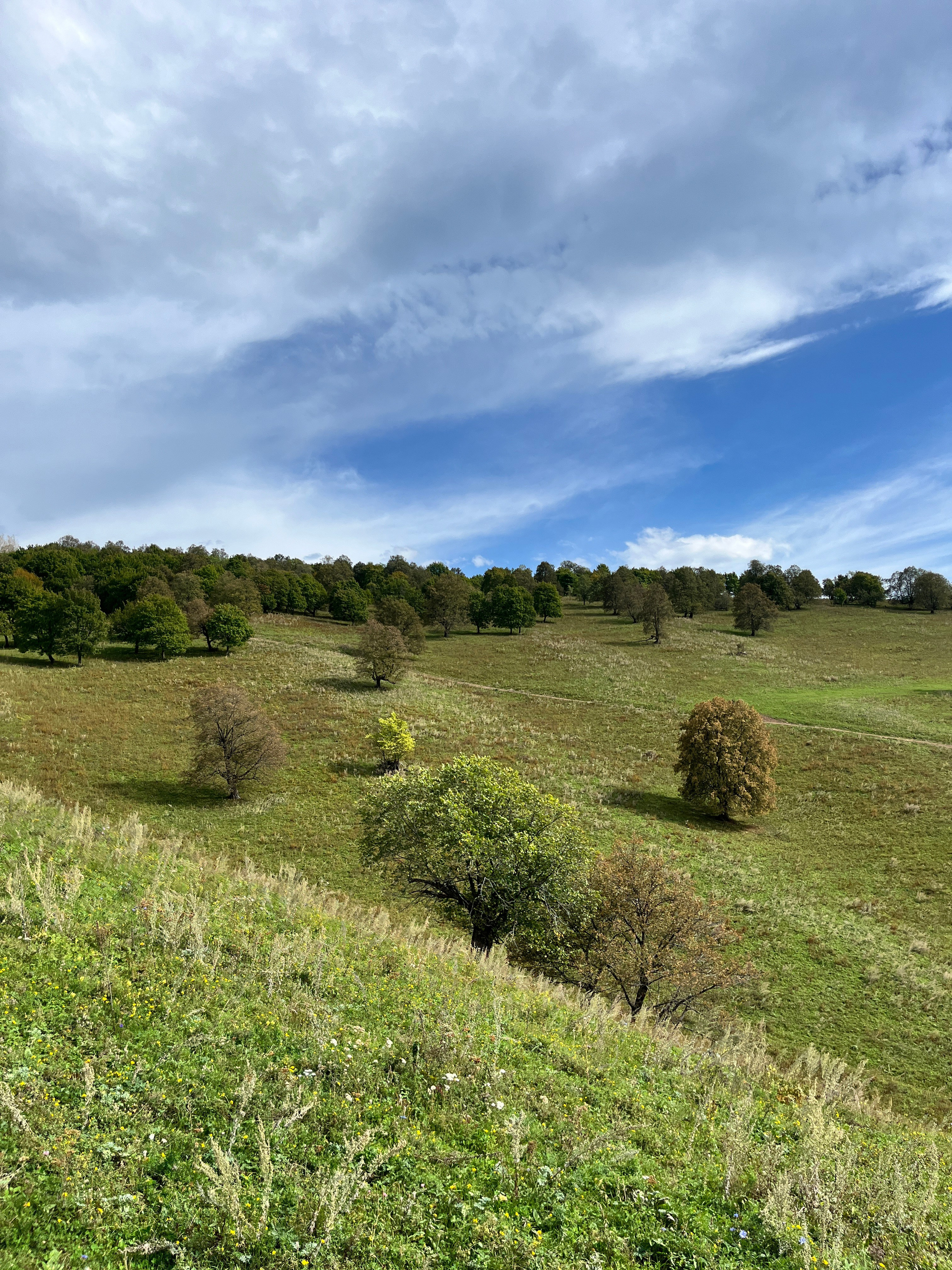 Фото с конных туров — Время приключений