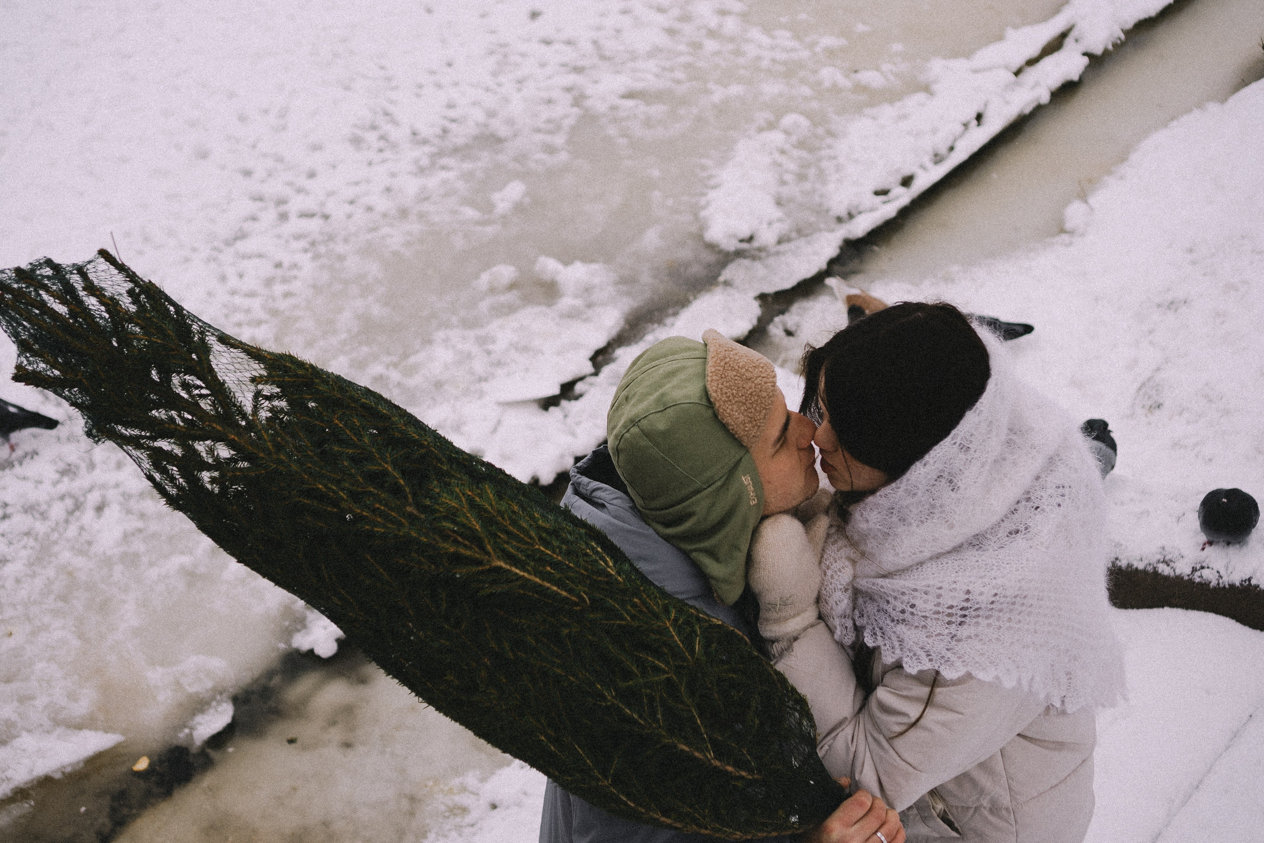 Зимняя история. Профессиональный фотограф, Санкт-Петербург — Виктория Богомолова