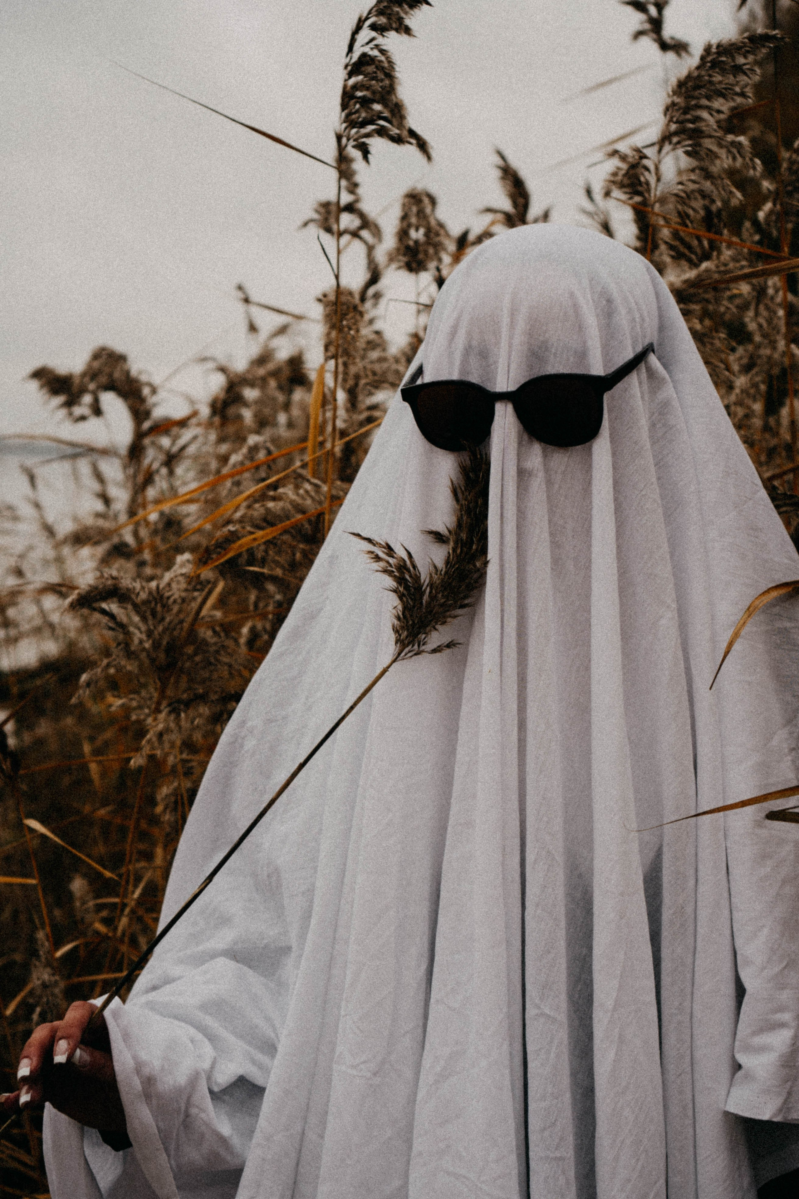 Осеняя. Профессиональный фотограф, Санкт-Петербург — Виктория Богомолова