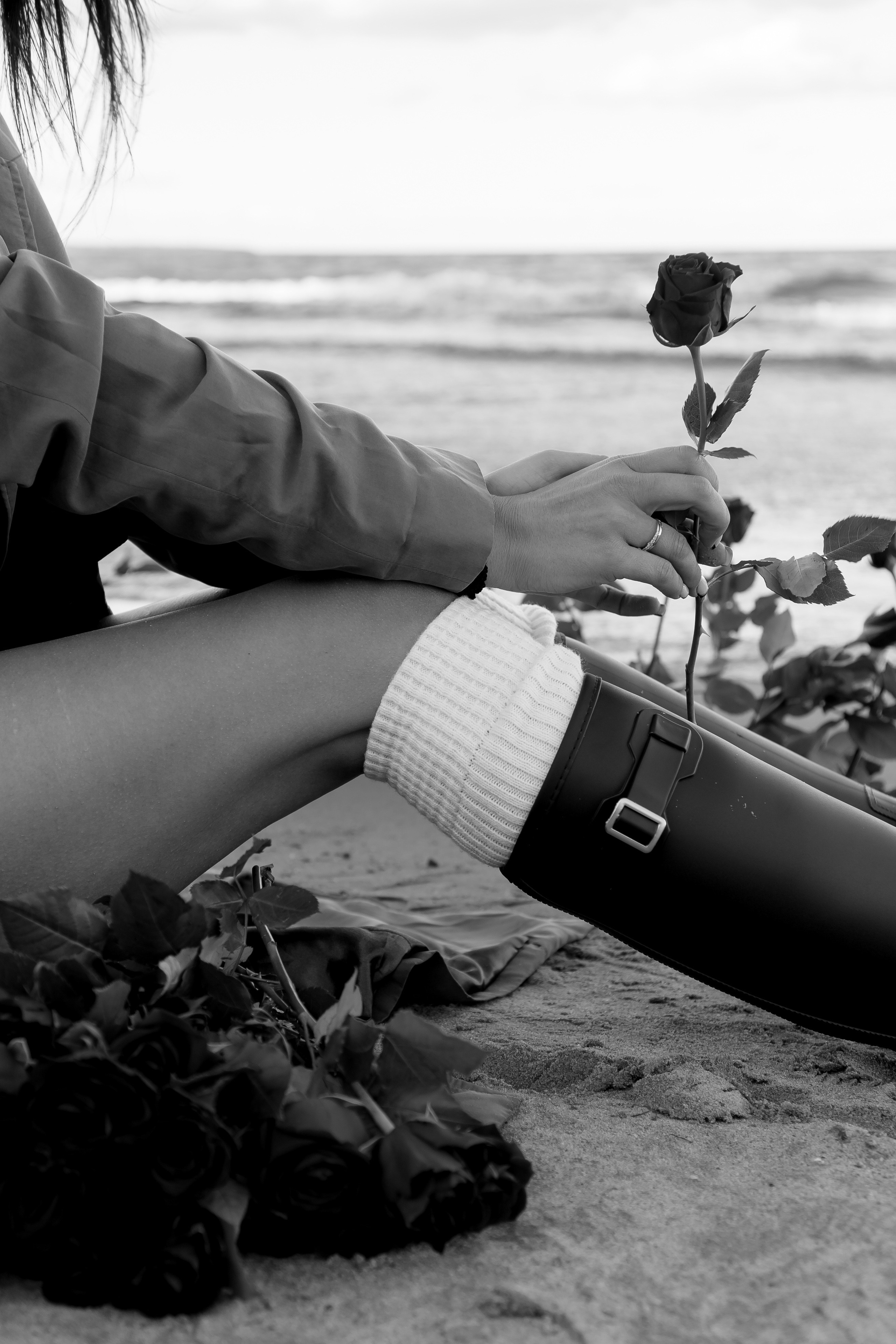 Розы. Профессиональный фотограф, Санкт-Петербург — Виктория Богомолова