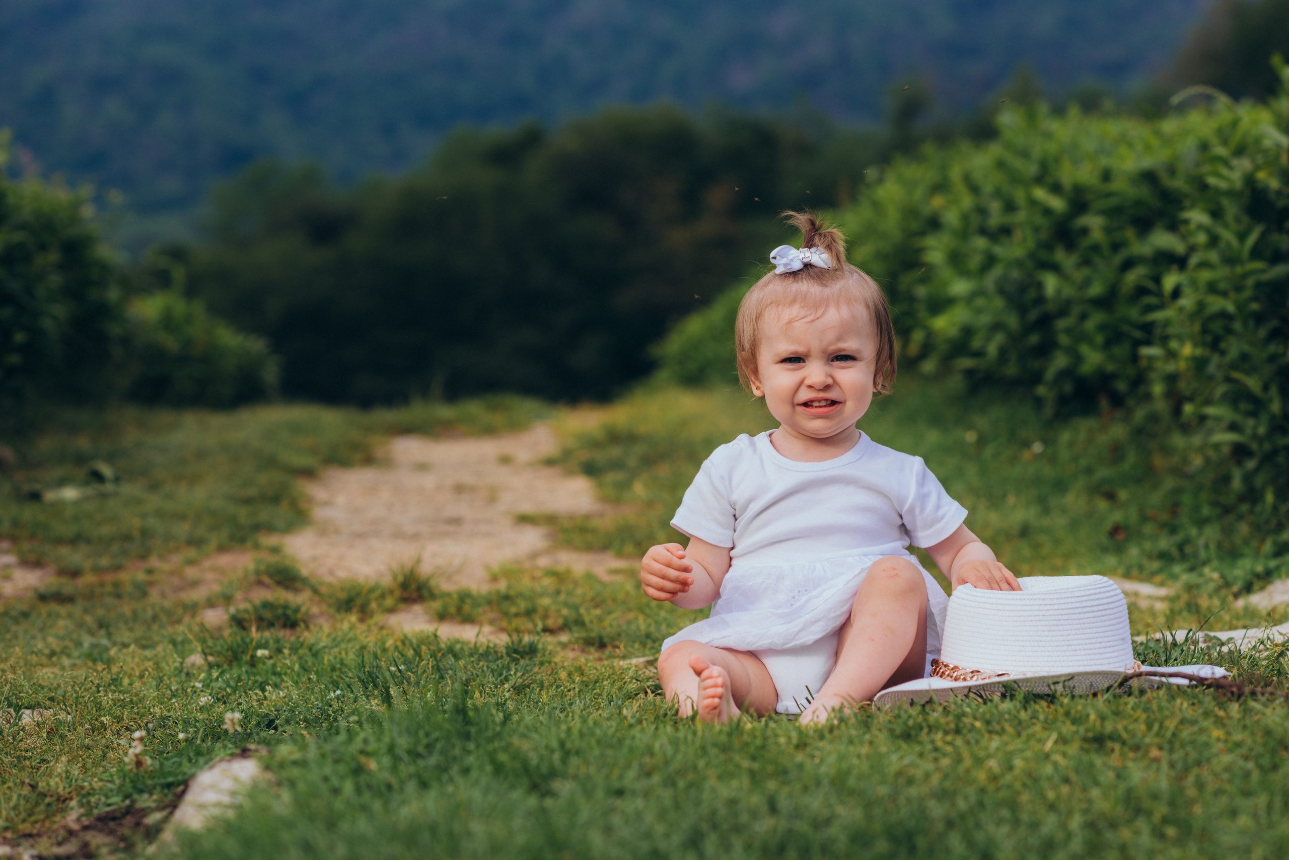 Чайные плантации. Фотограф Диана Вальтер