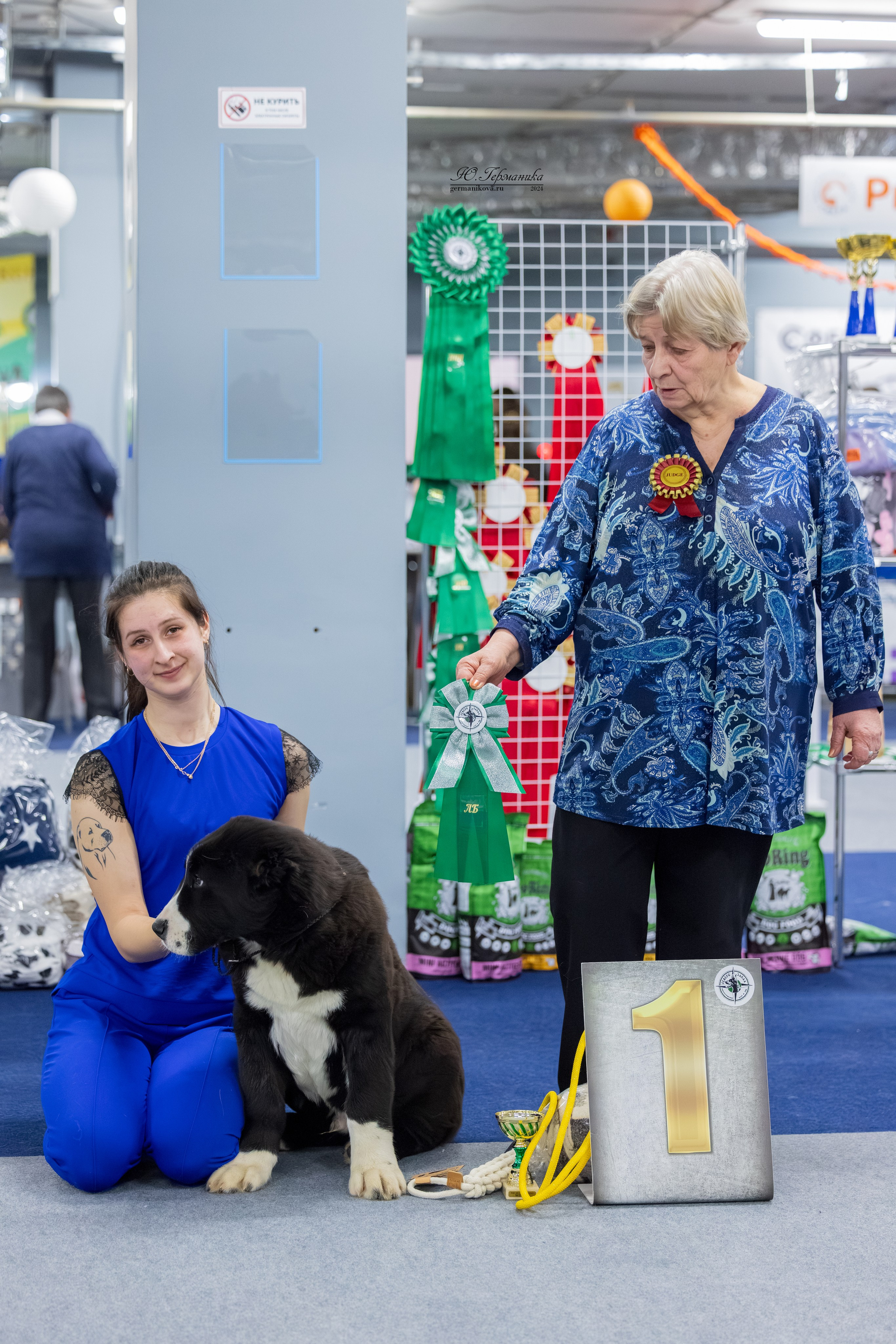 Сфера 08 и 10.03.2024 2хмоно ротвейлеров+2хмоно сао. Фотограф-анималист Юлия Германика