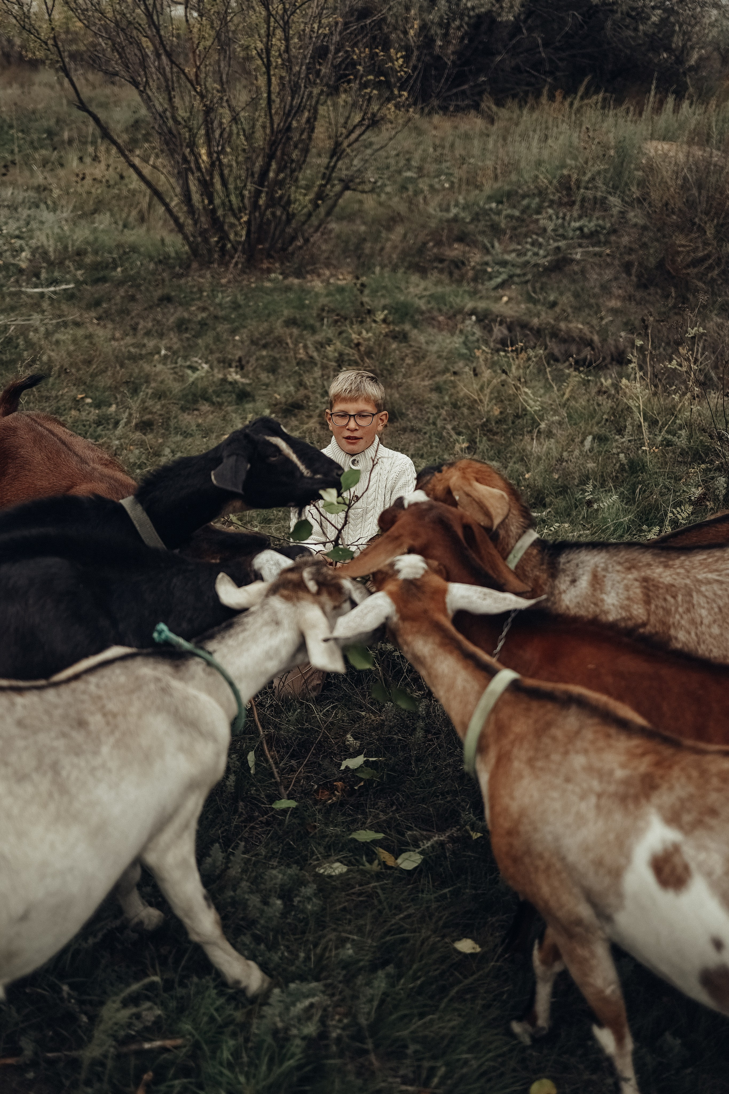 Семейная прогулочная съёмка. Фотограф в Астане Элина Багинская