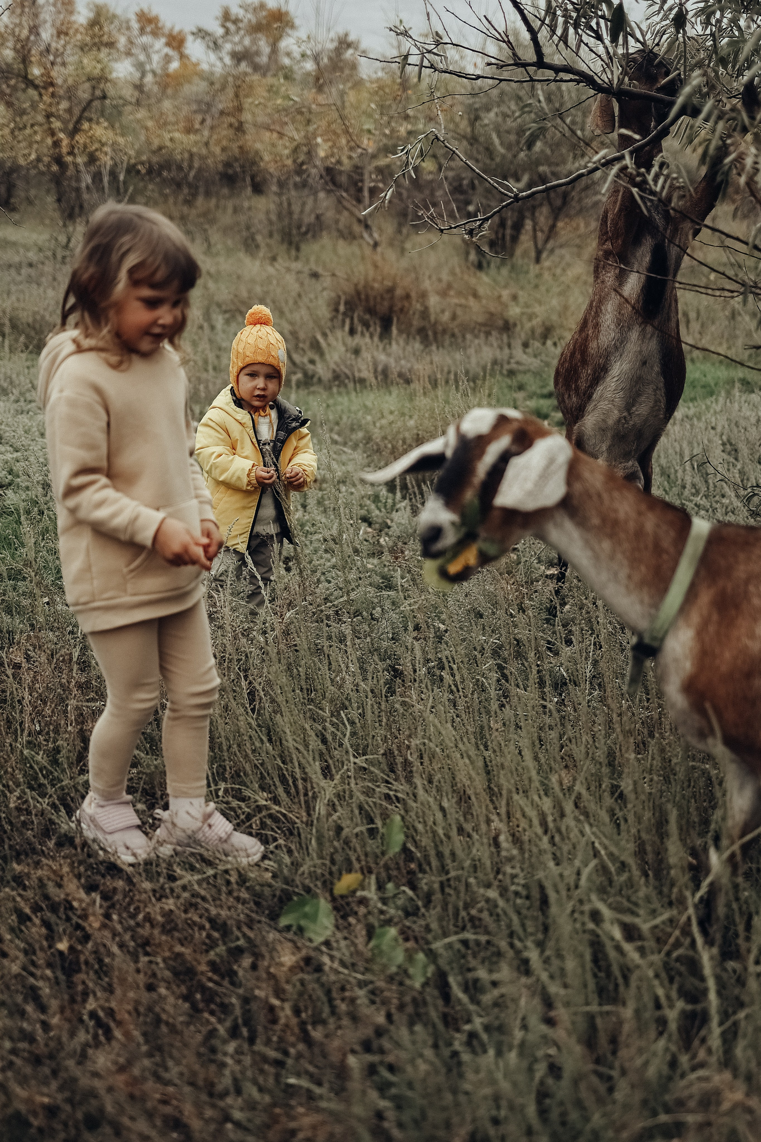 Семейная прогулочная съёмка. Фотограф в Астане Элина Багинская