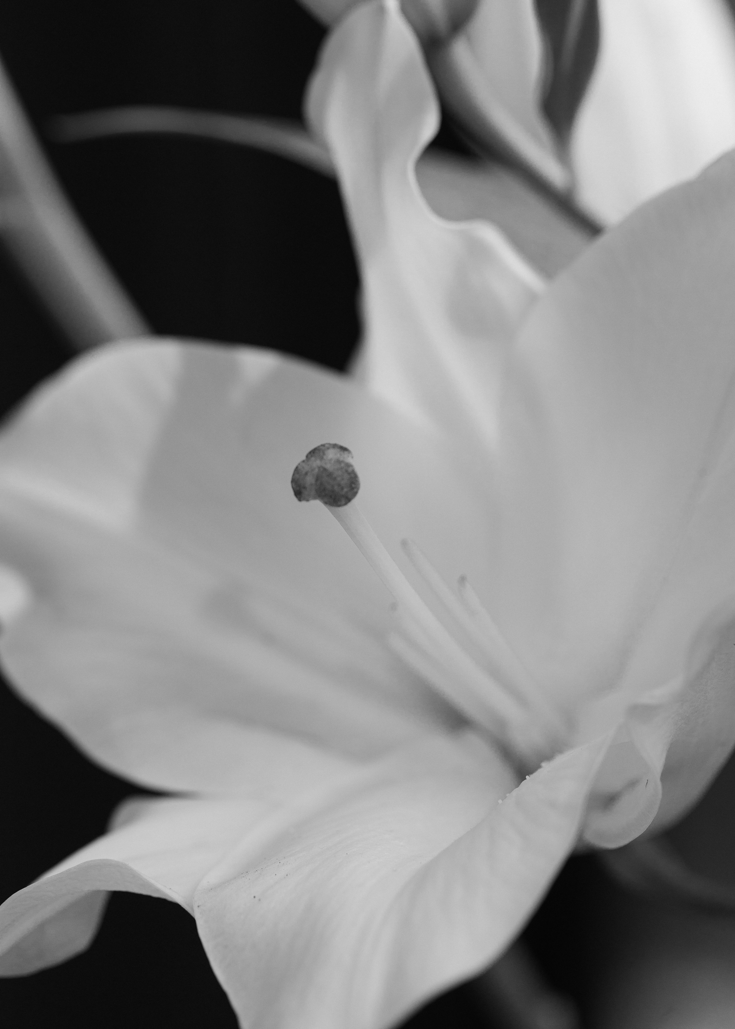 Максим и Ира. Свадебный фотограф Нижний Новгород, Москва