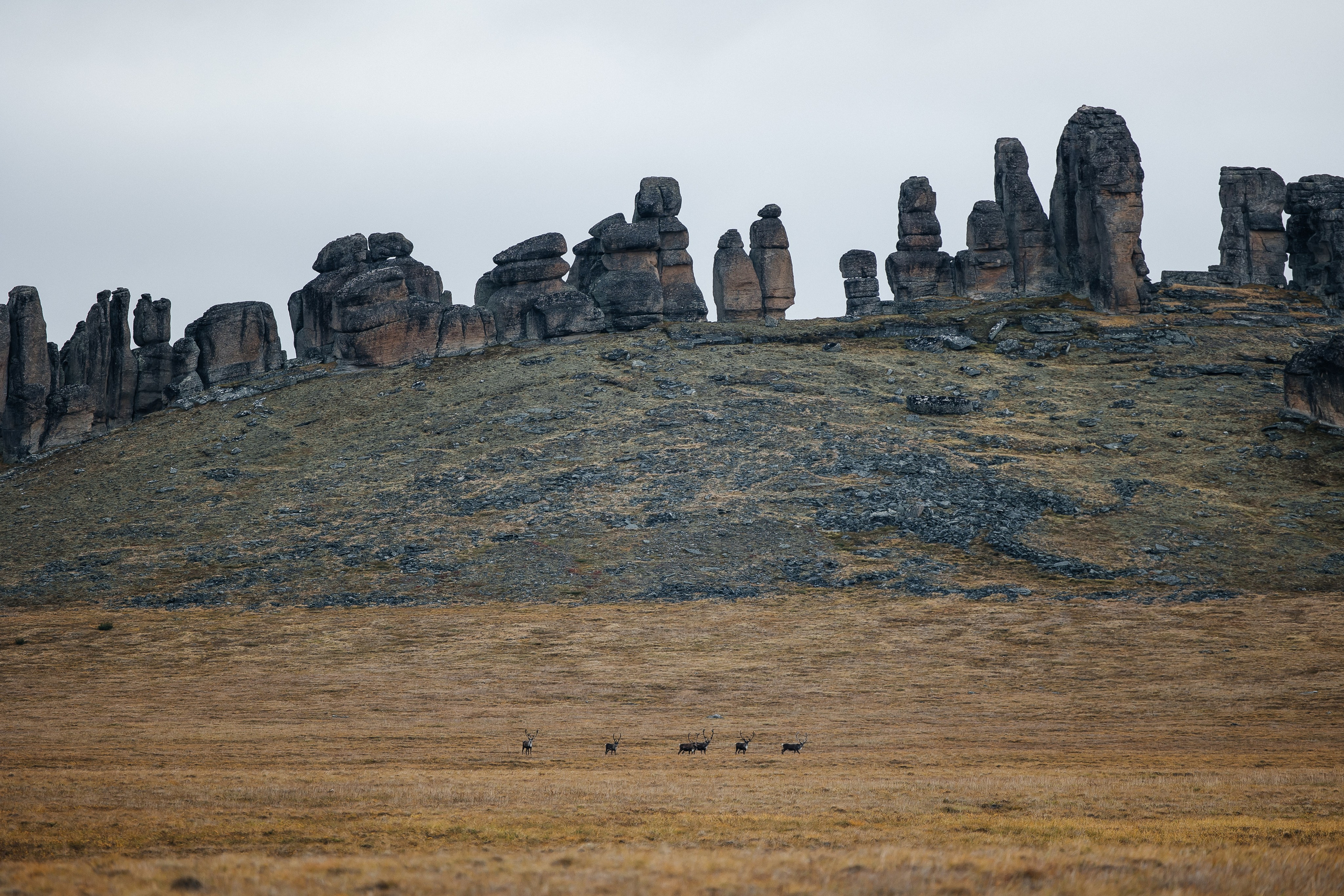 ПЕЙЗАЖ И ЛЮДИ. Саргылана Афанасьева