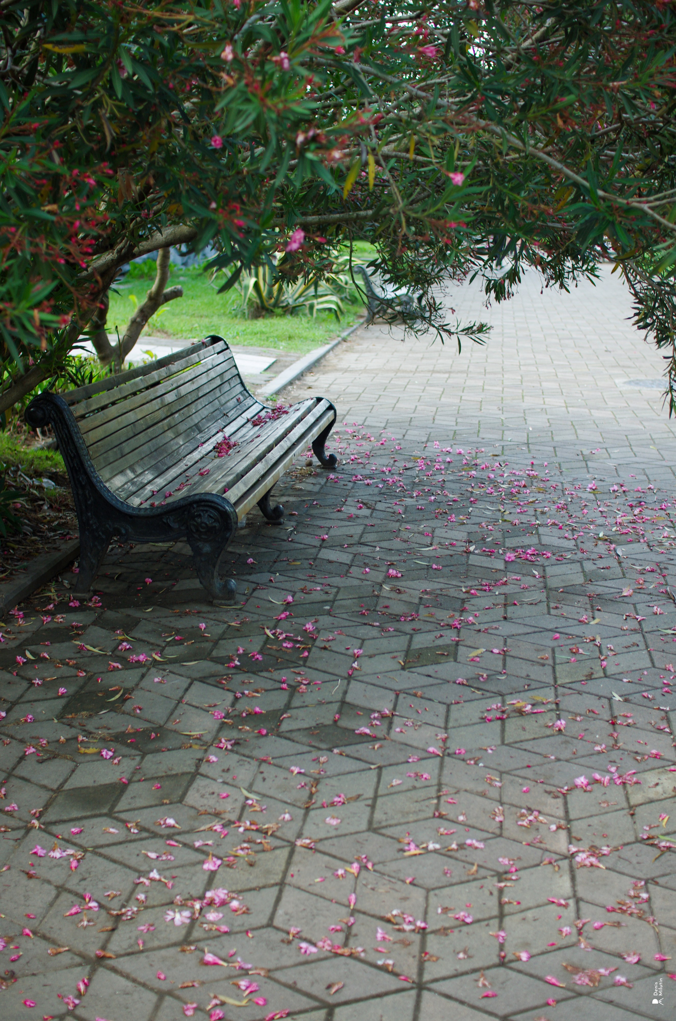 Batumi. Портретный фотограф Денис Милютин