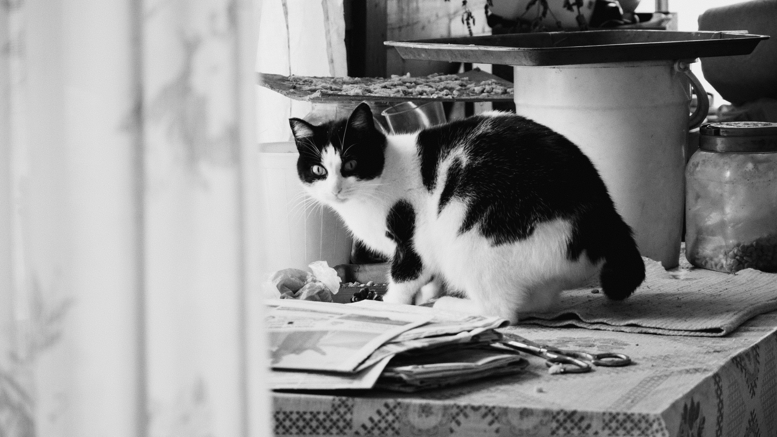 ЧБ. Фотограф-любитель из Кирова Андрей Погребняк