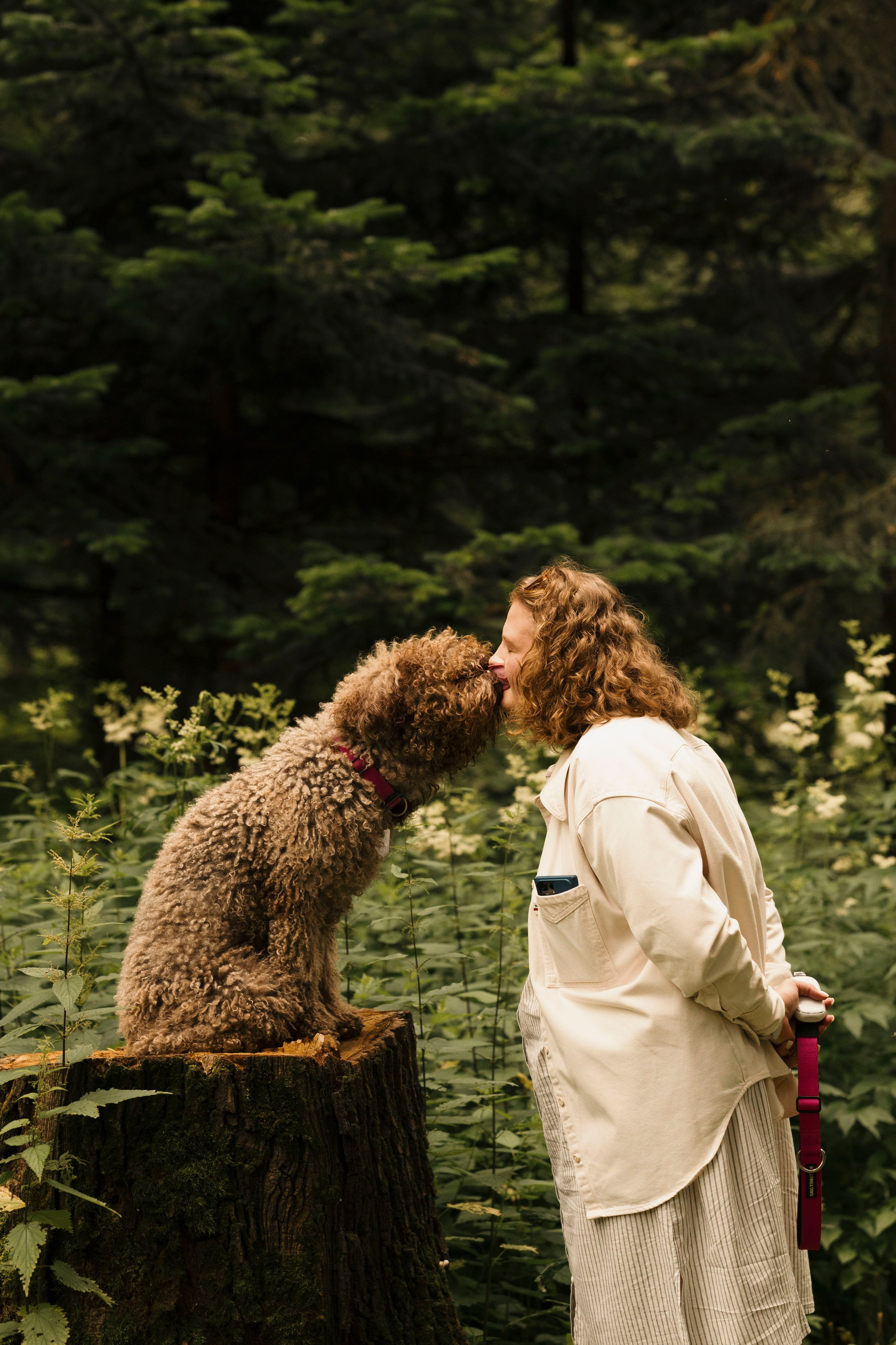 Зизи. Фотограф- анималист Александра Матвеева