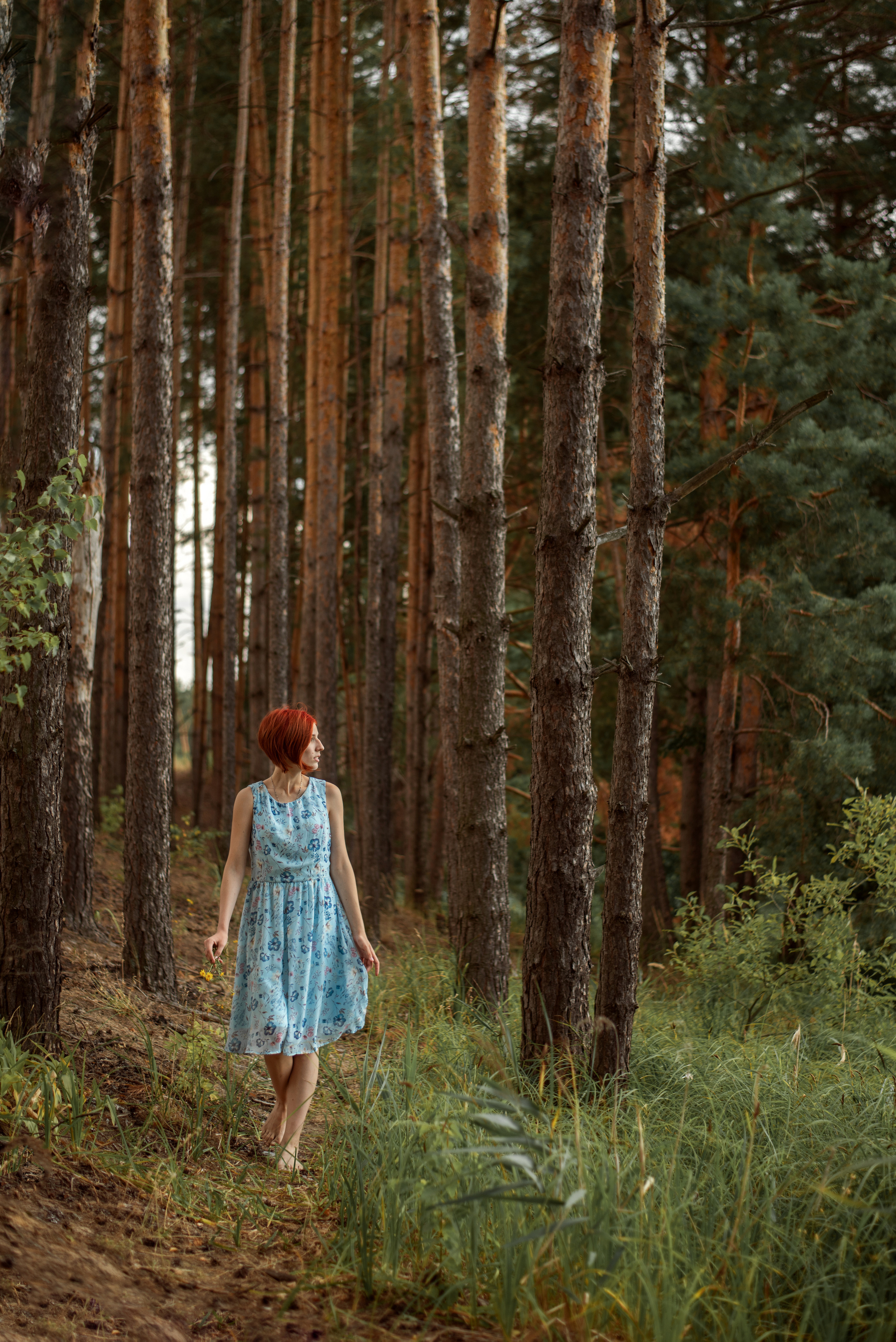 Фотосессия в соснвом бору. Семейный фотограф Екатерина Шаманаева