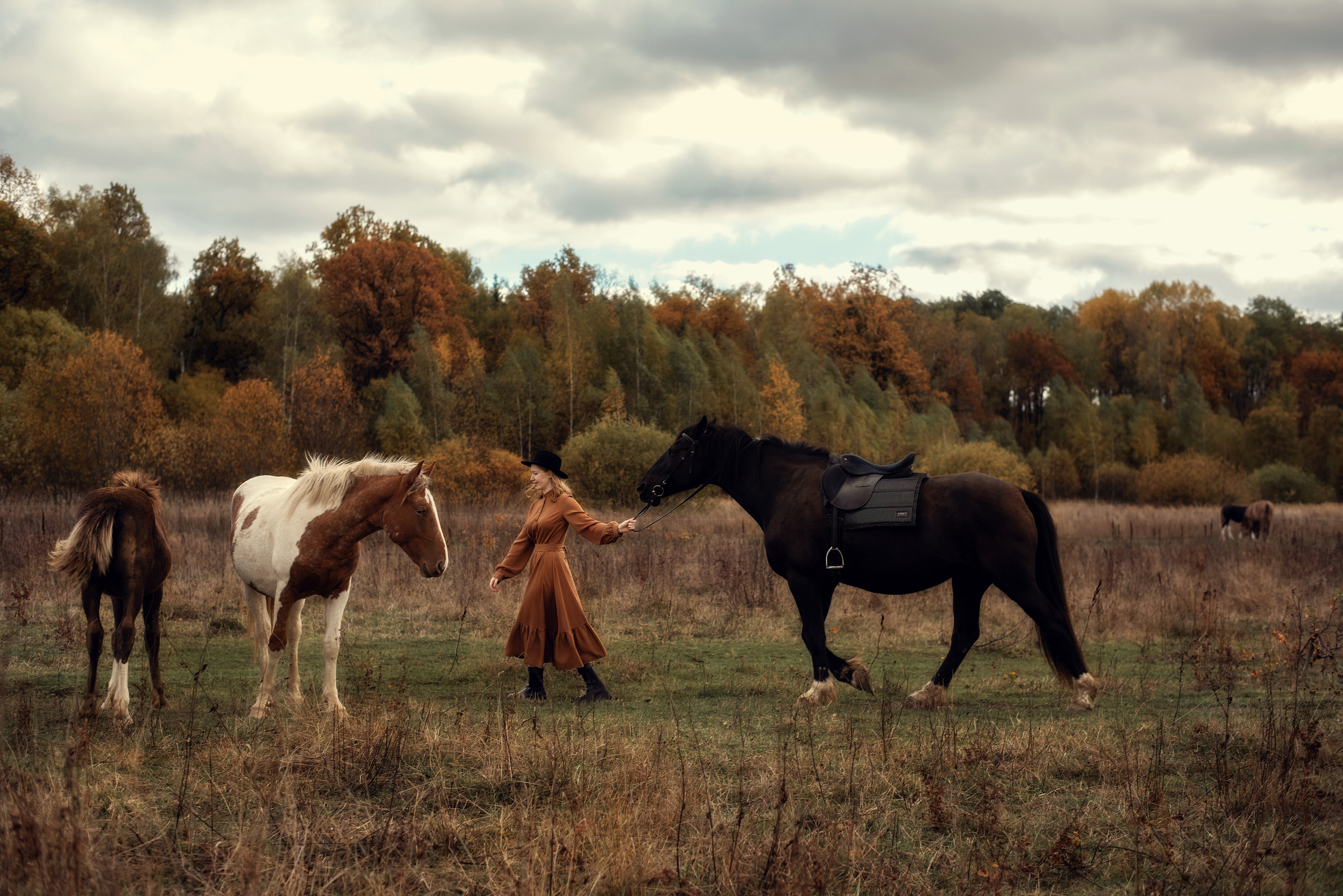 С лошадьми. Семейный фотограф Екатерина Шаманаева
