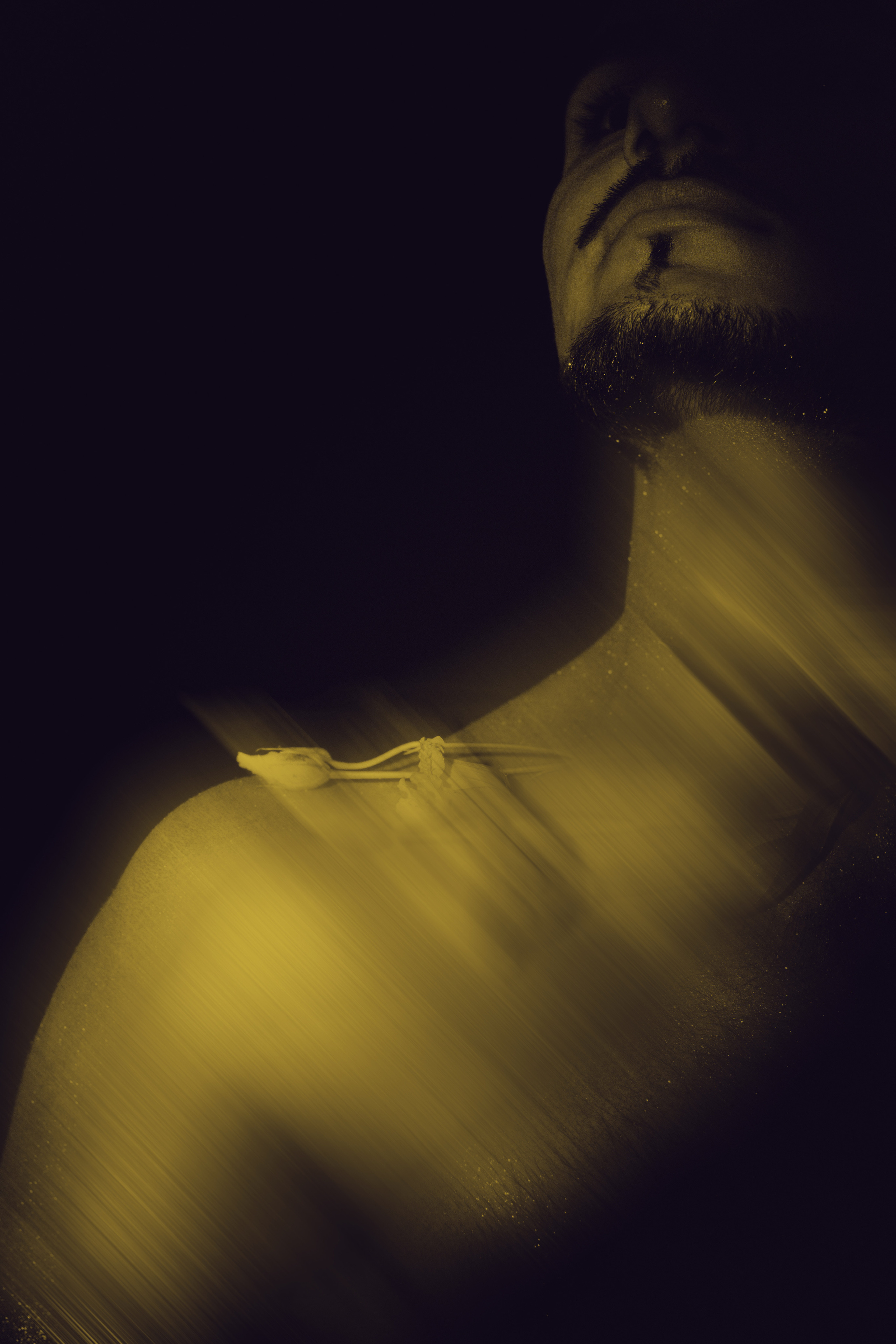 Flowers. Fashion photographer in Prague Kisel Ekaterina