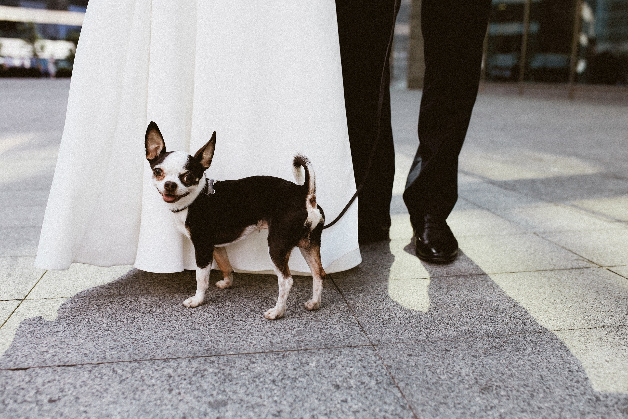 Свадьба в Сити. Портретный фотограф в Москве Мария Варлей