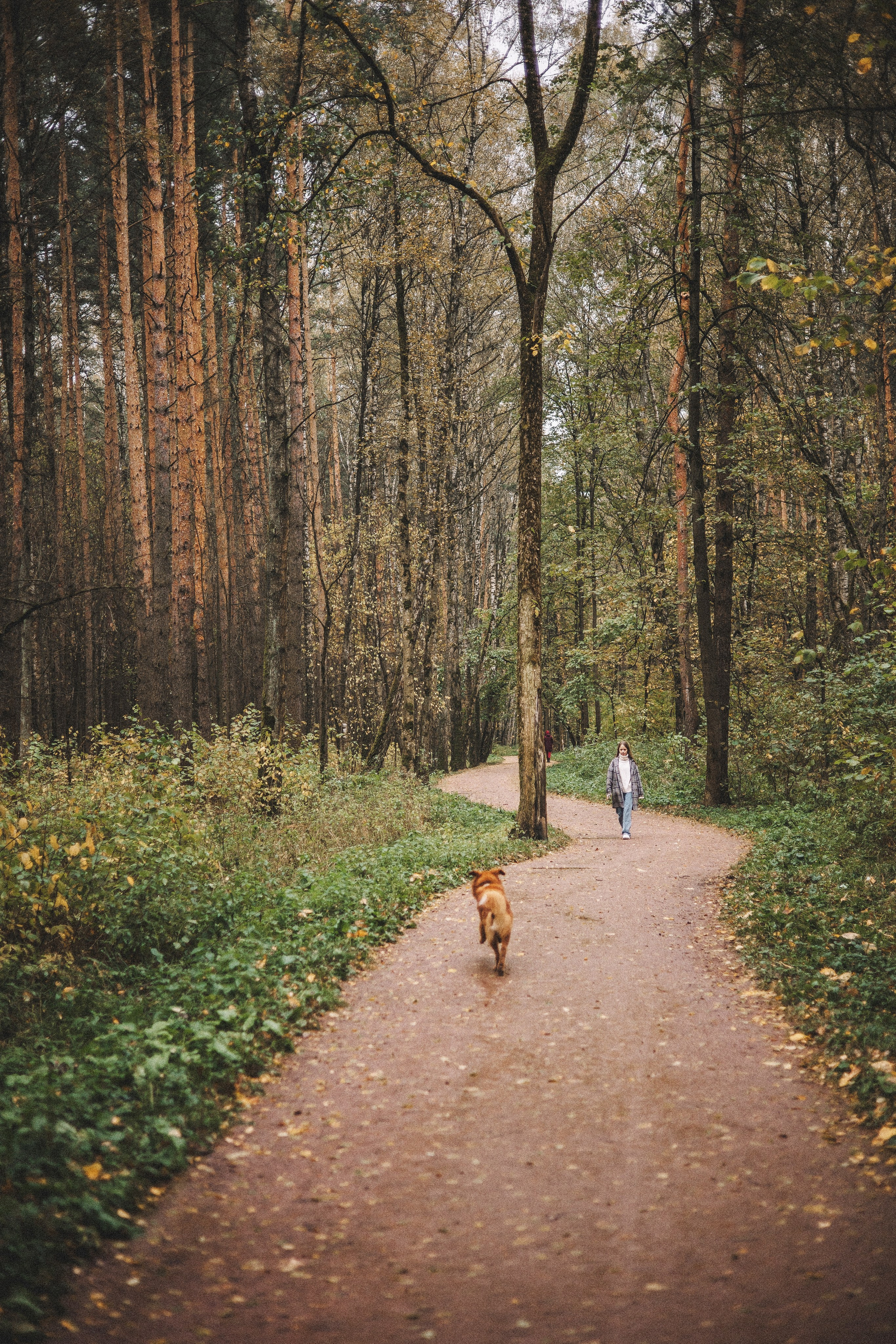 Алина и Бис. Фотограф-анималист Богданова Полина