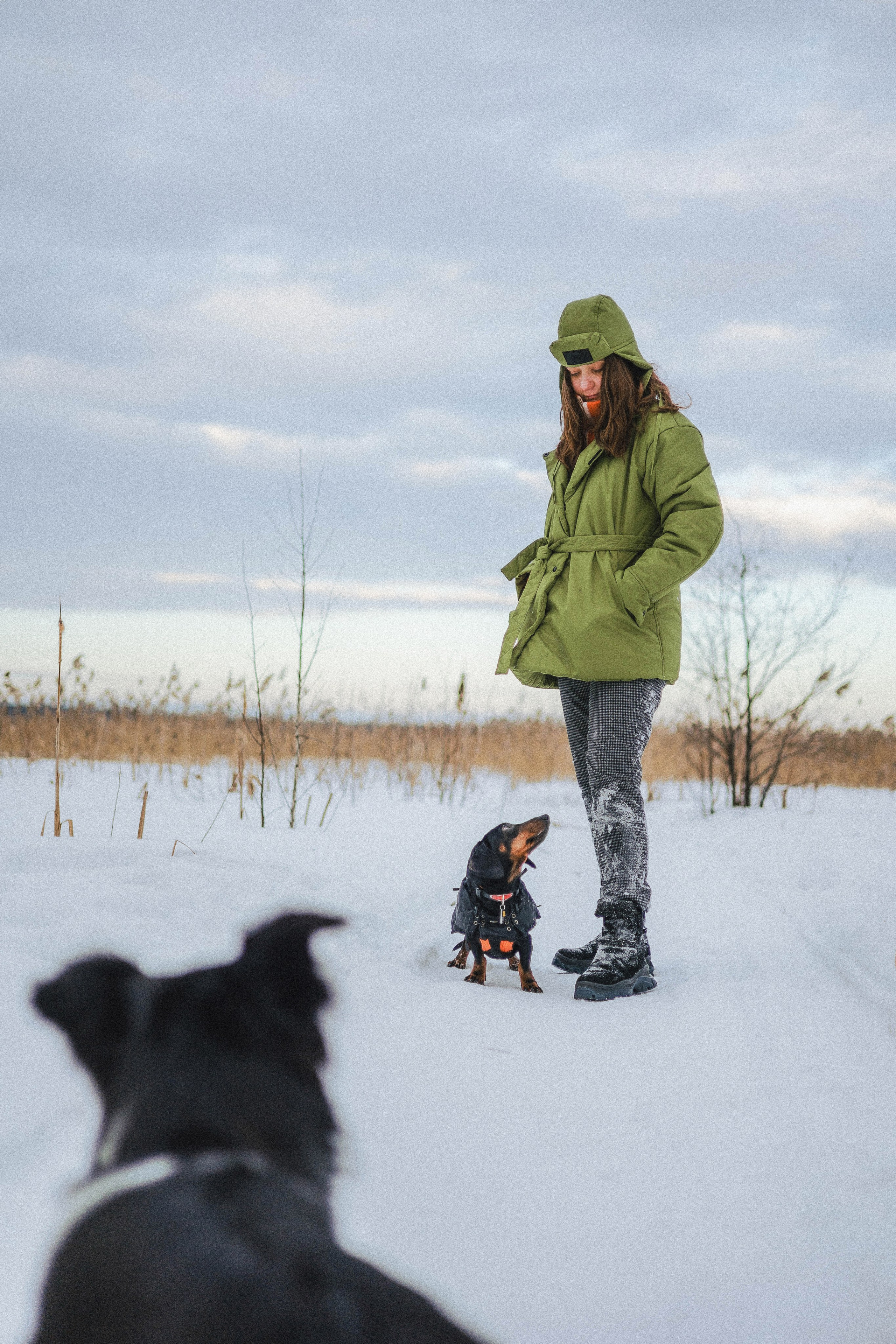 Маша, Рэм и Ньютон. Фотограф-анималист Богданова Полина