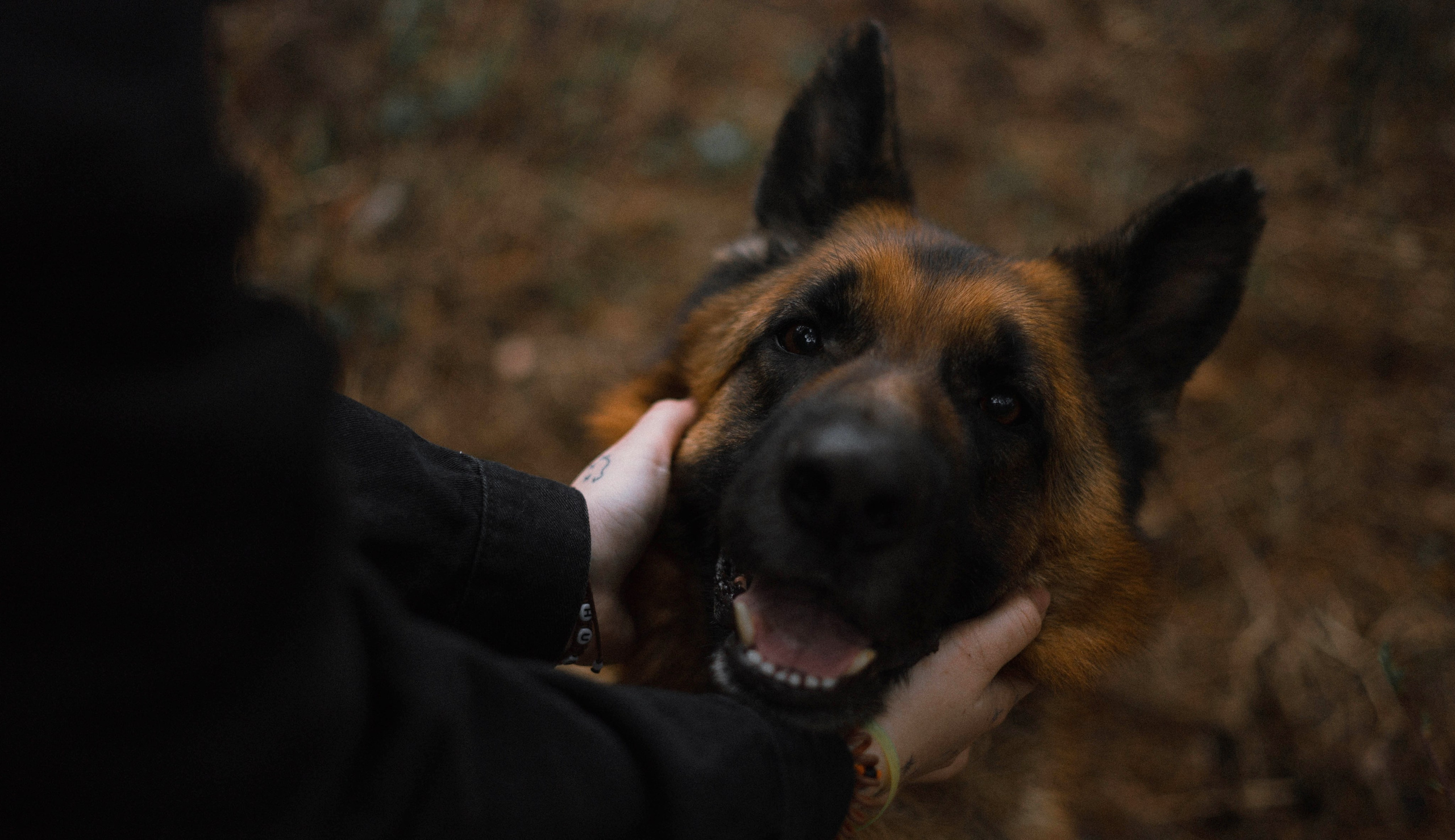 Лера и Ральф. Фотограф-анималист Богданова Полина