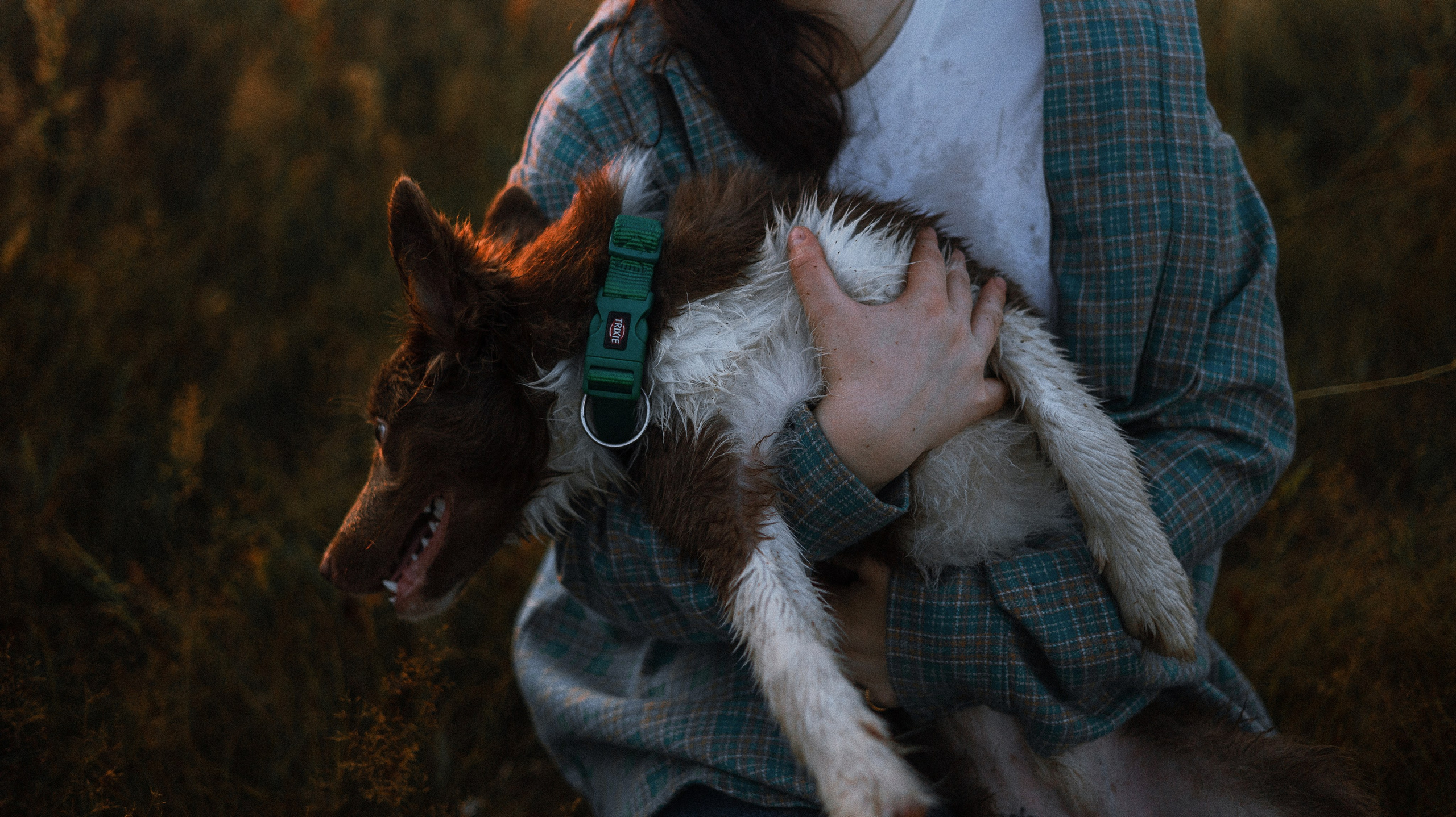Полина и Паддингтон. Фотограф-анималист Богданова Полина