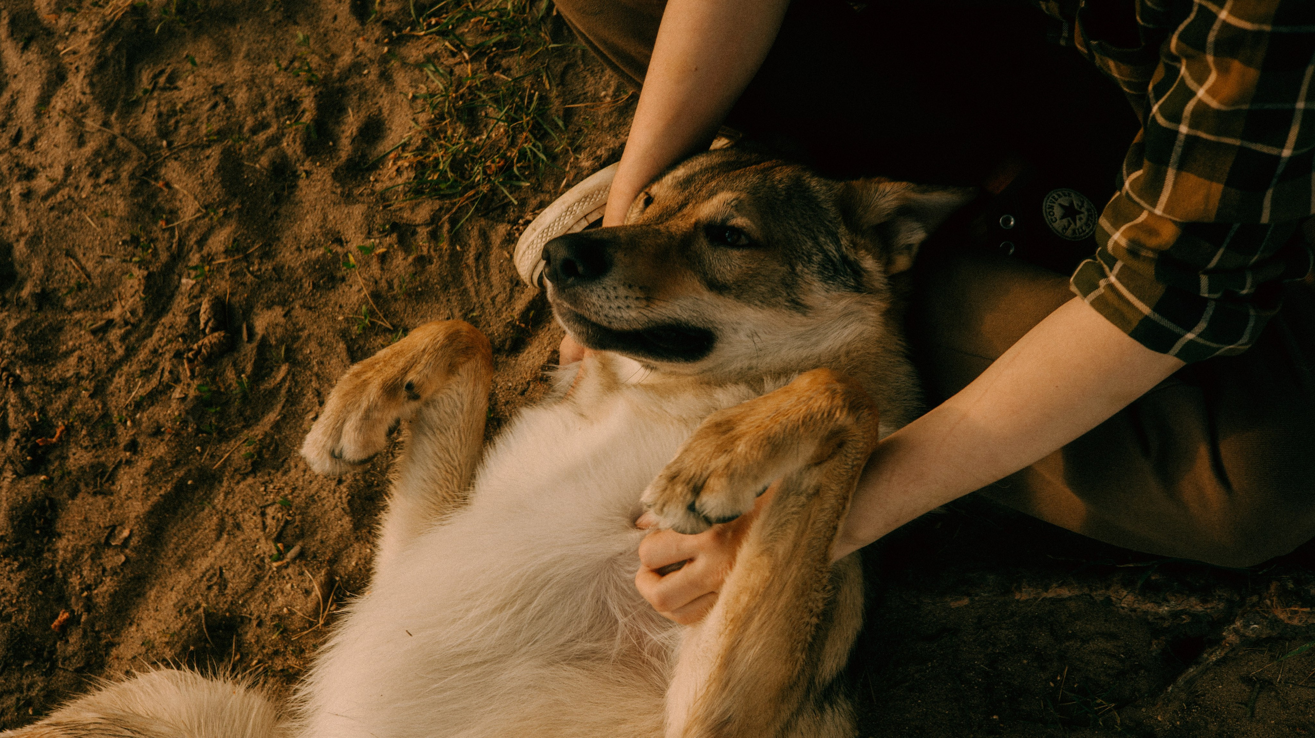 Маша и Дэрил. Фотограф-анималист Богданова Полина
