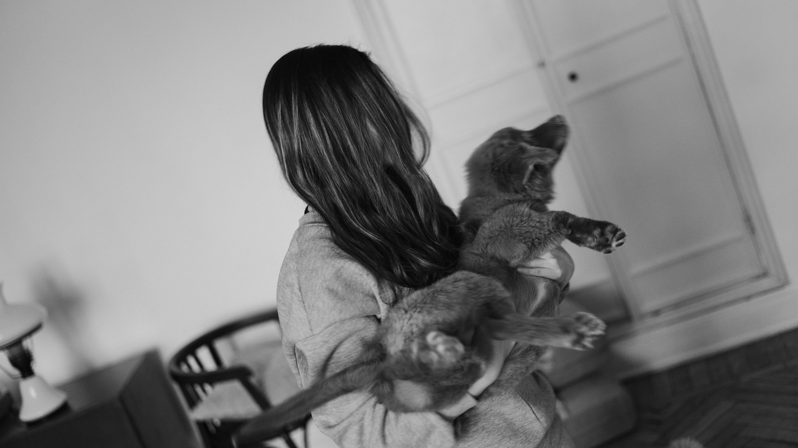 Маша, Одди и Нэвил. Фотограф-анималист Богданова Полина