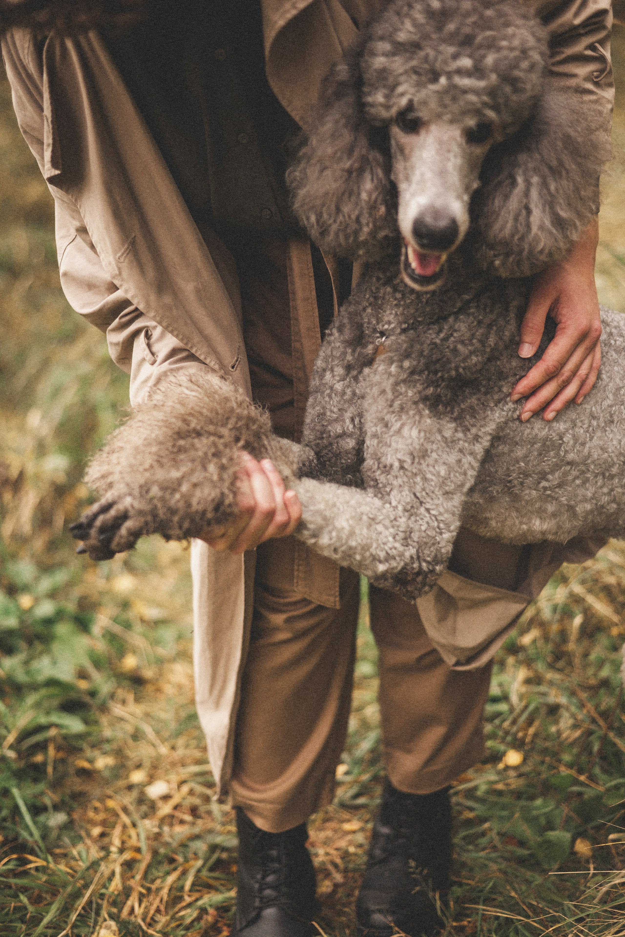 Алёна и Смоки. Фотограф-анималист Богданова Полина