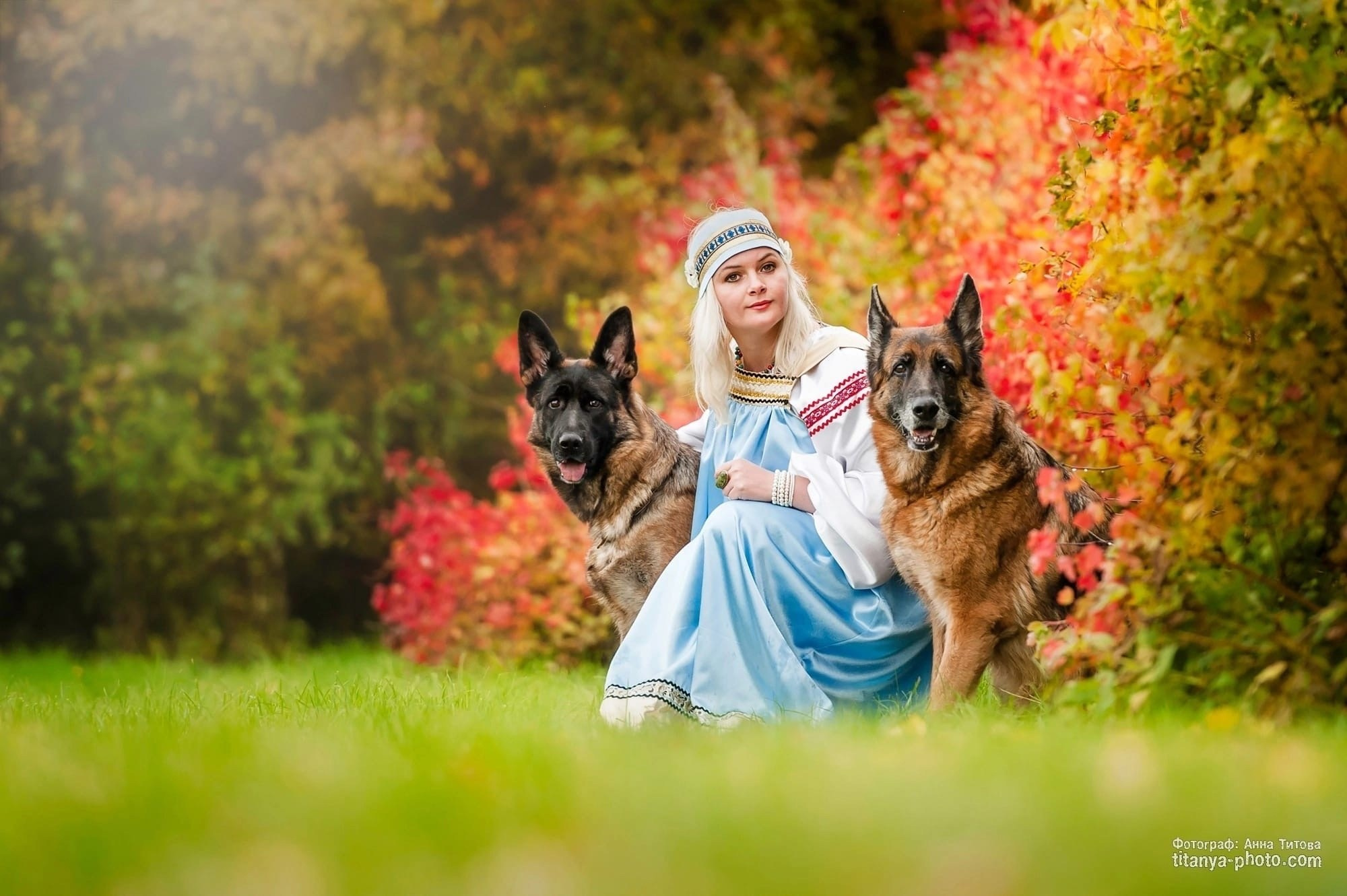 Фото немецких овчарок. Фотограф собак, фотограф-анималист Аня Титова (Titanya). Москва