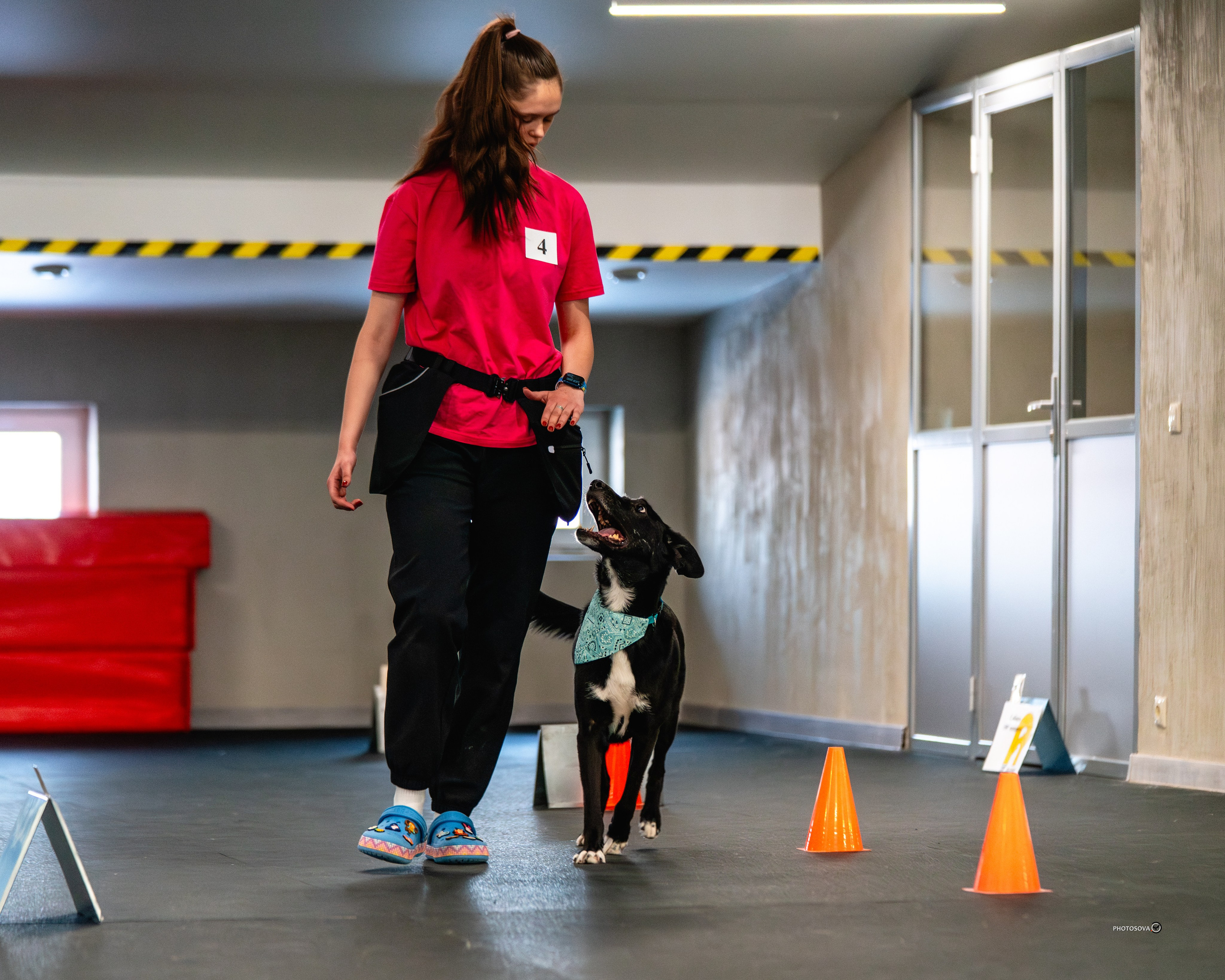 ТЫ И Я (соревнования по ралли-обидиенс). Фотограф-анималист, семейный фотограф в Москве и Подмосковье. Фотосъёмка кинологических дисциплин