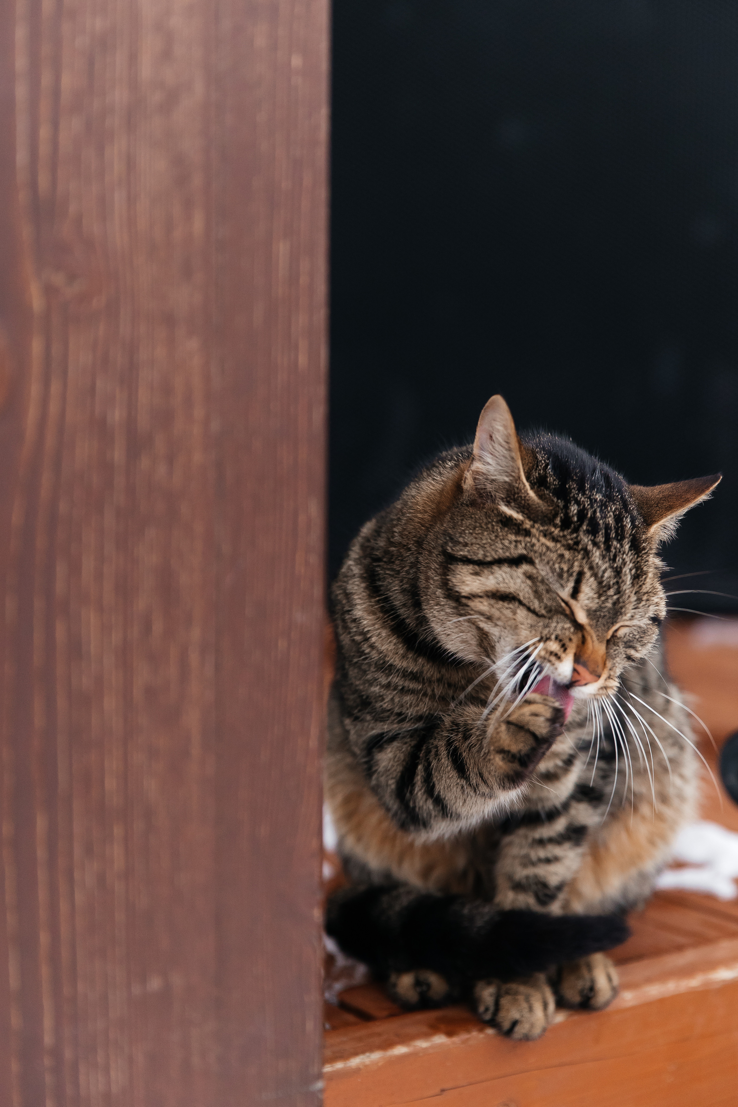 N & E. Свадебный и семейный фотограф в Краснодаре Анастасия Прудко