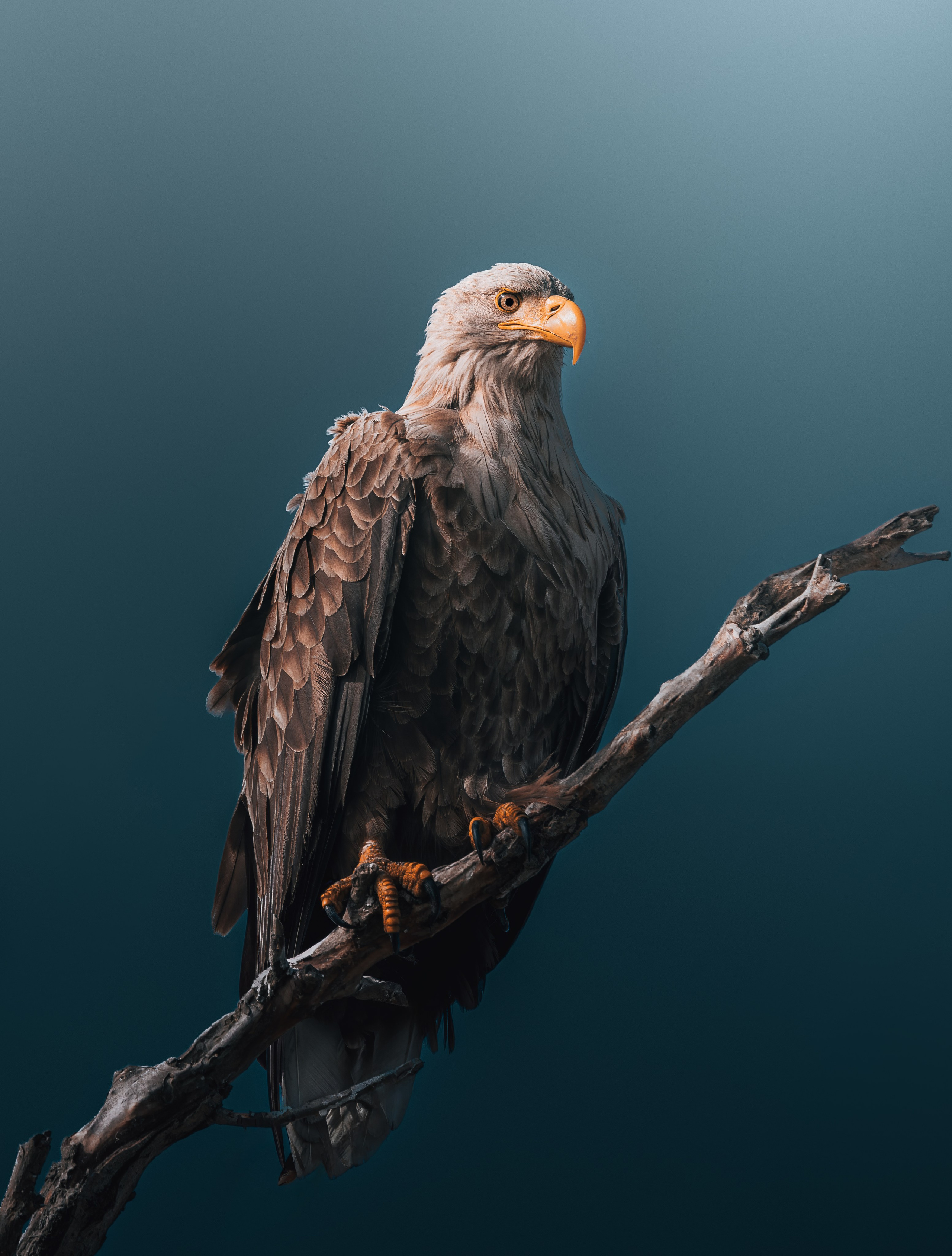 Астраханская область 2025 | Фотограф Дмитрий Купрацевич. Дмитрий Купрацевич профессиональный пейзажный и travel-фотограф