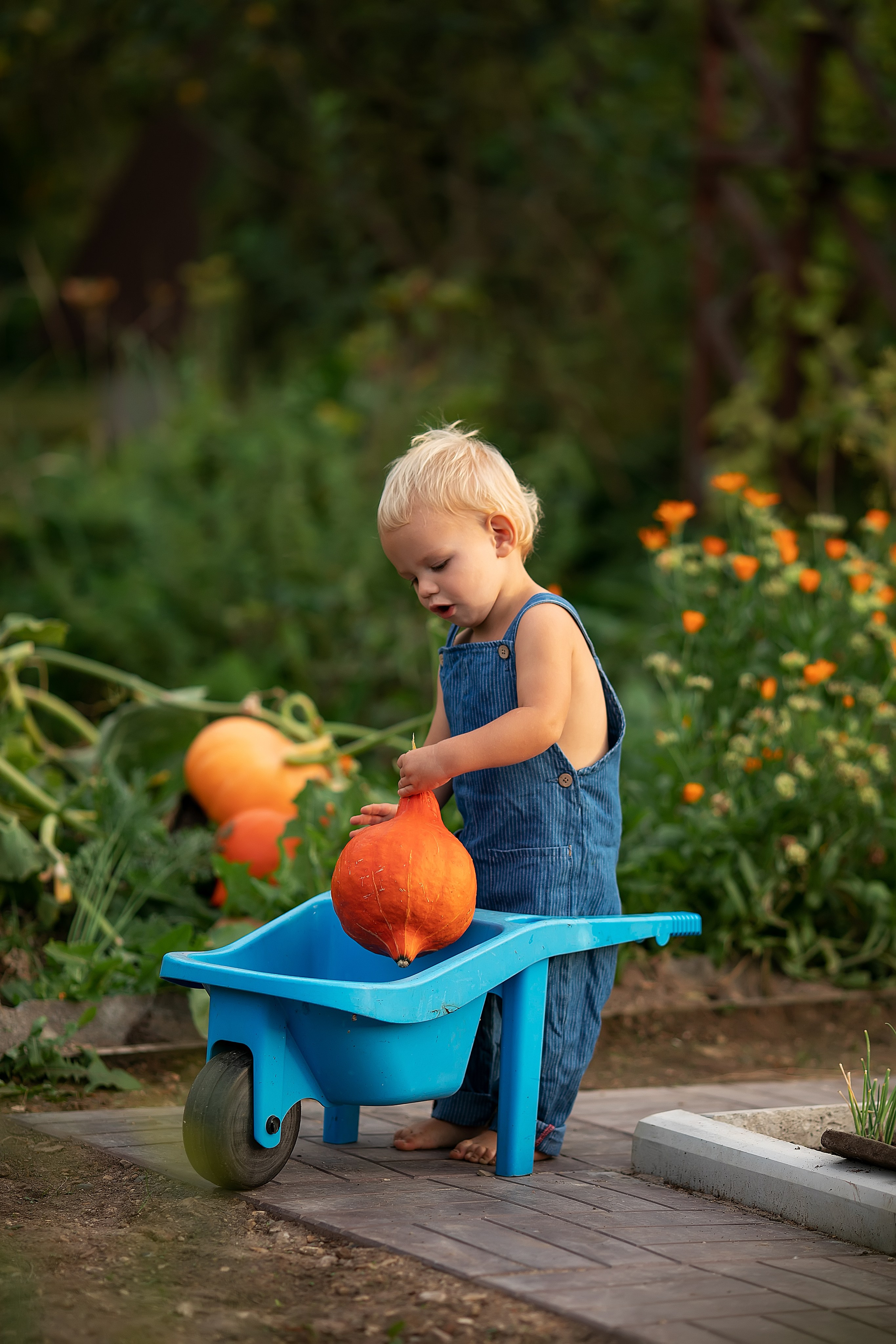 Лето. Главная