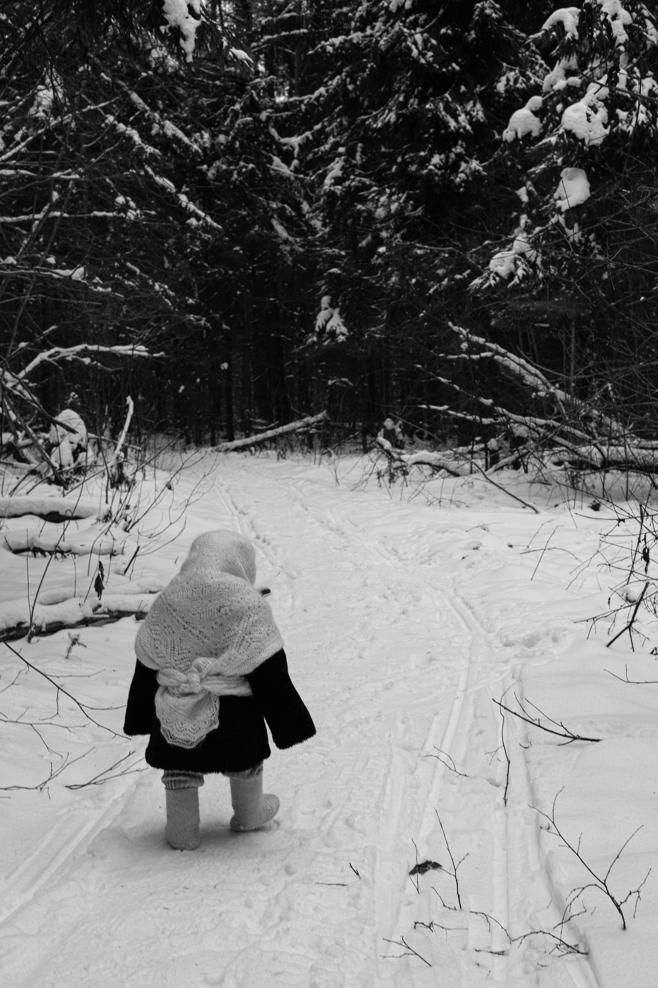 Зимняя фотопрогулка. Семейный фотограф Марья Тен. Москва, Зеленоград, Химки, Сходня