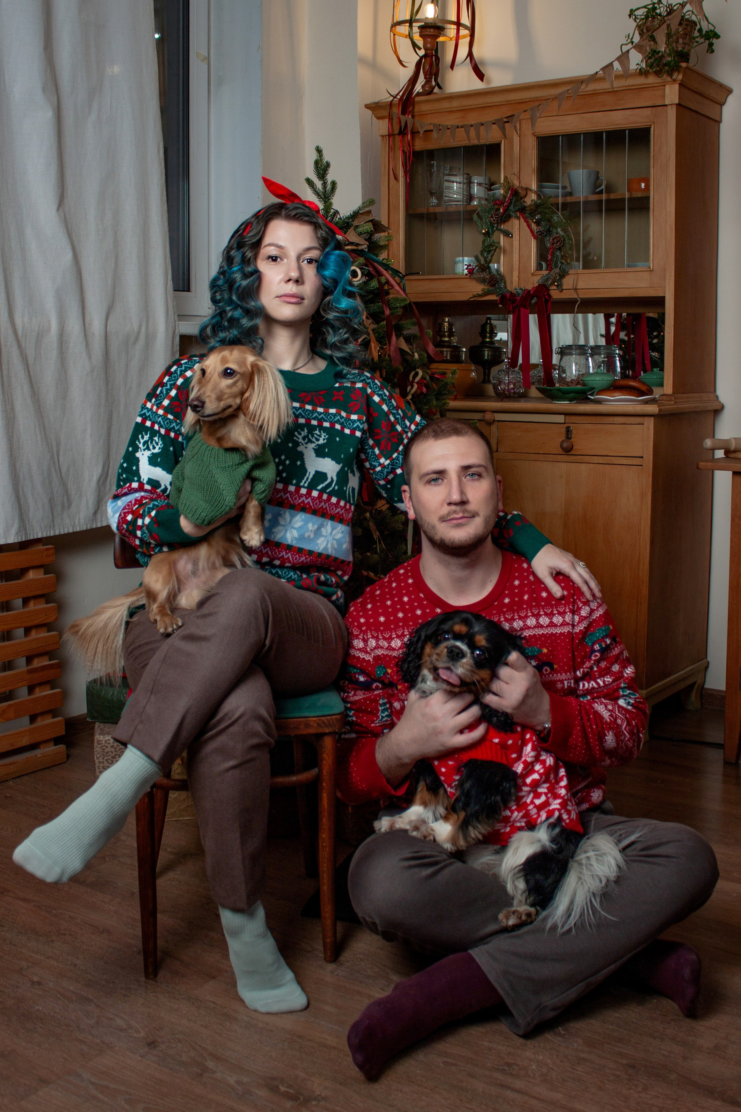 Новогодние собаки. Фотограф в Санкт-Петербурге Рейдер Дарья