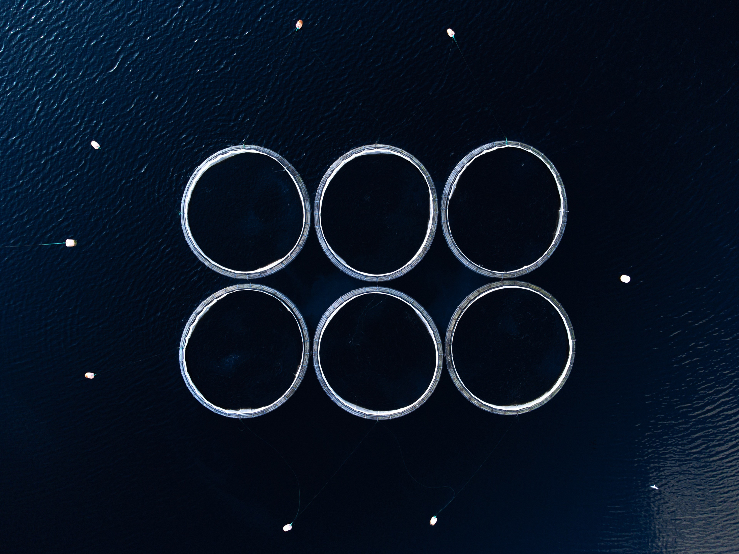 RGO media project “Karelia”. Commercial photographer | Anton Ermakov