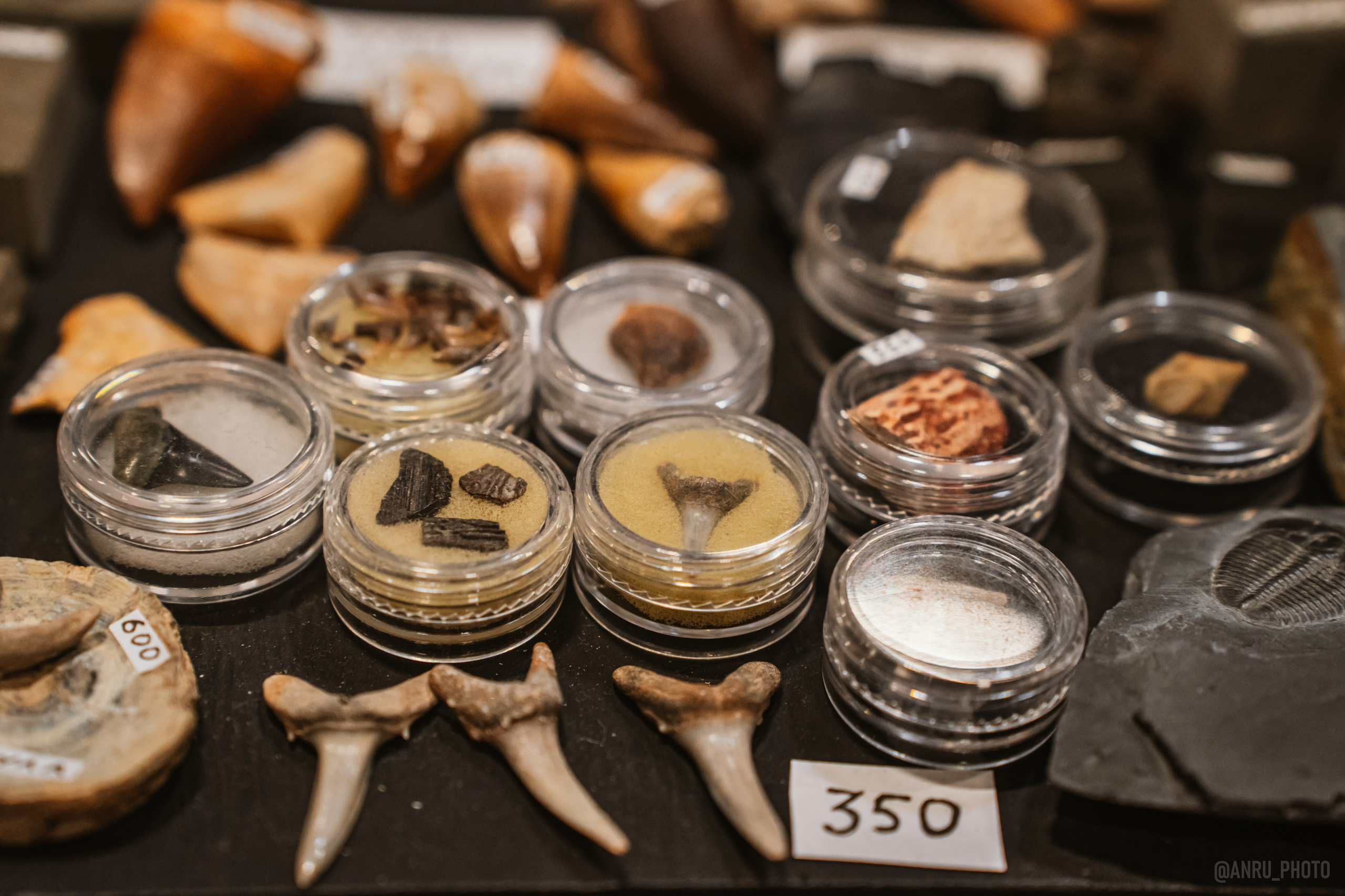 Рептилиум (ручная работа). Репортажный фотограф Анастасия Рубцова