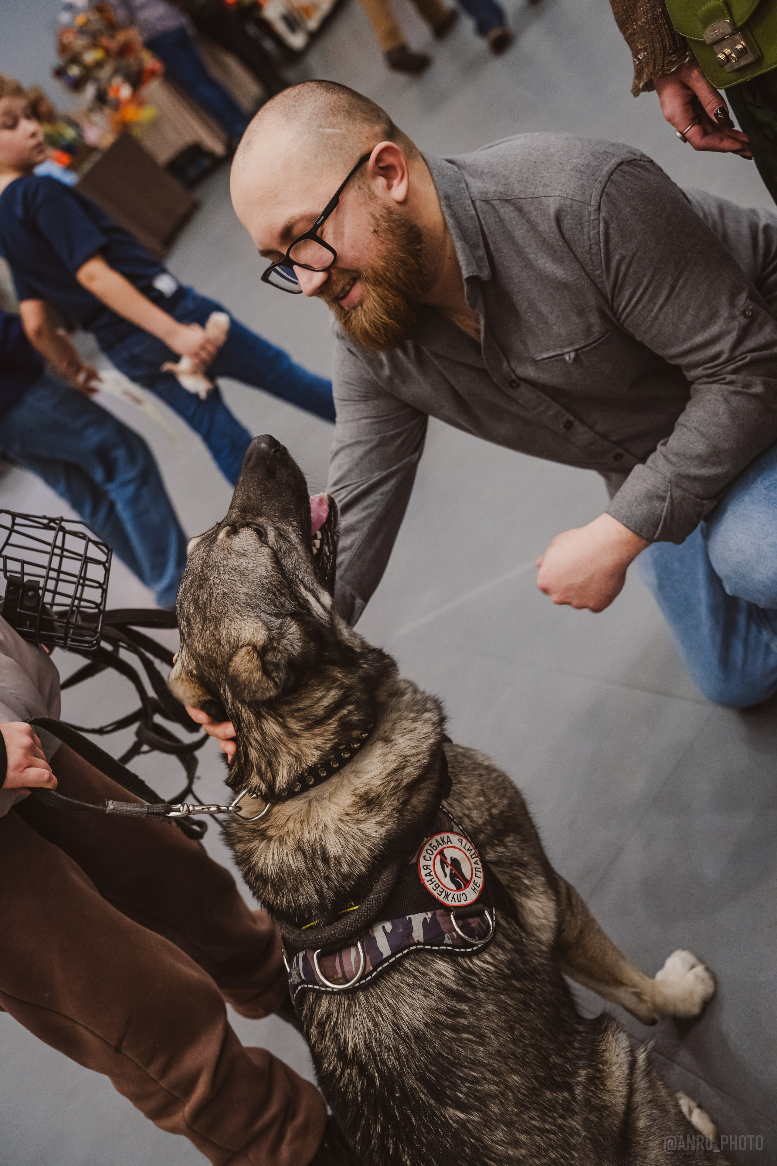 Fox Family fest. Репортажный фотограф Анастасия Рубцова