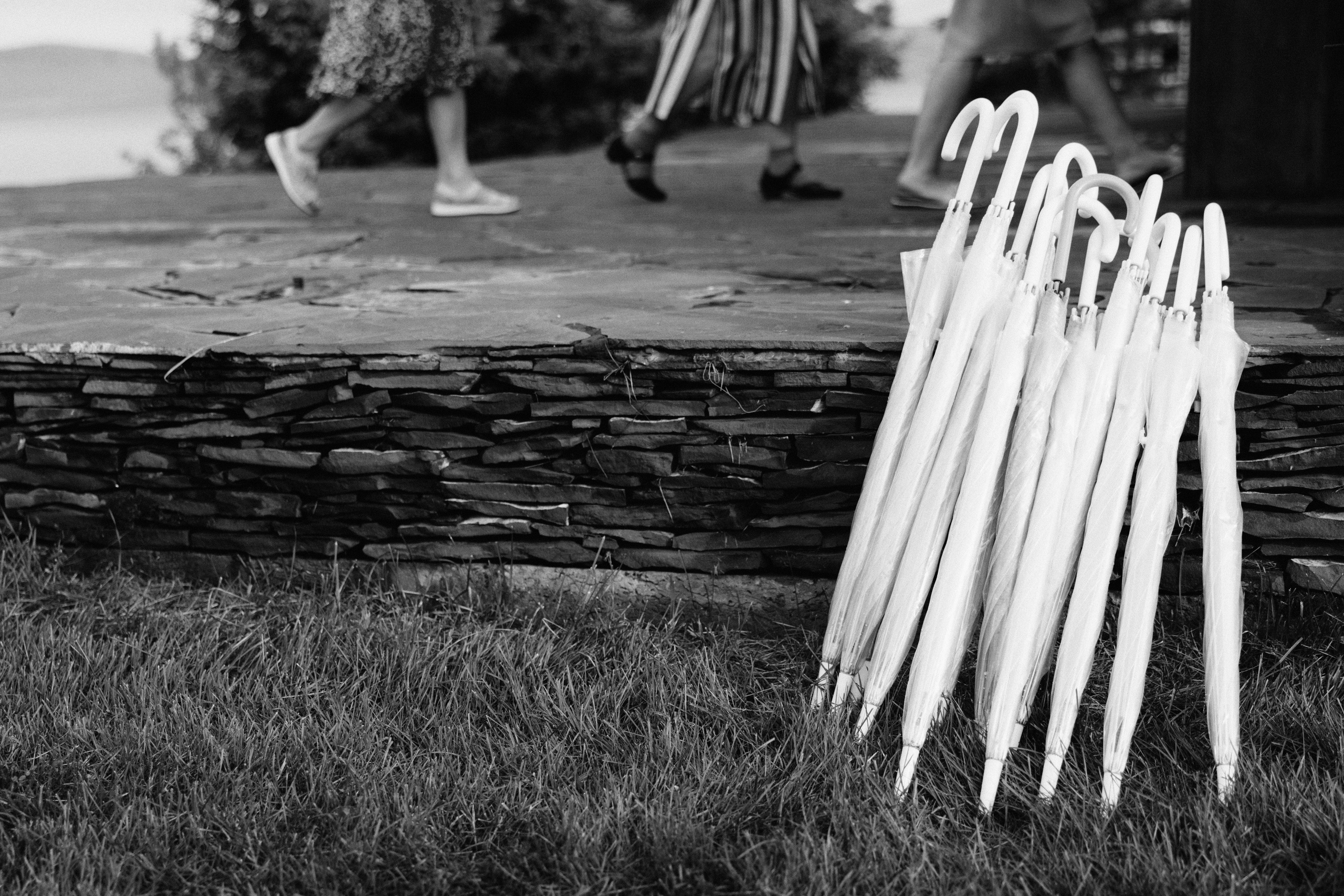 Максим + Алина. Александр Видякин Фотограф в Хакасии и Красноярском крае