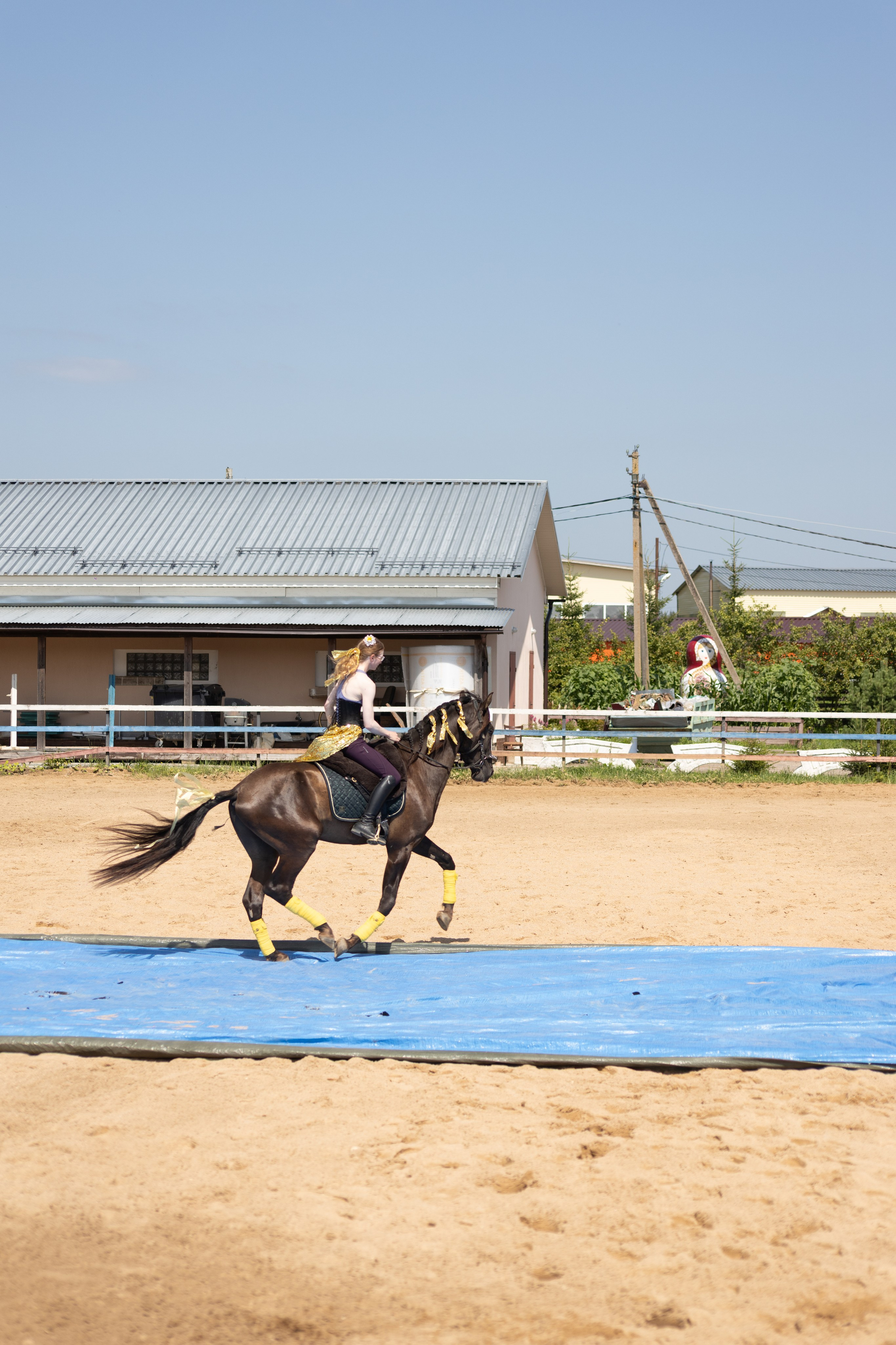 Конюшня. Фотограф в Москве и Истре