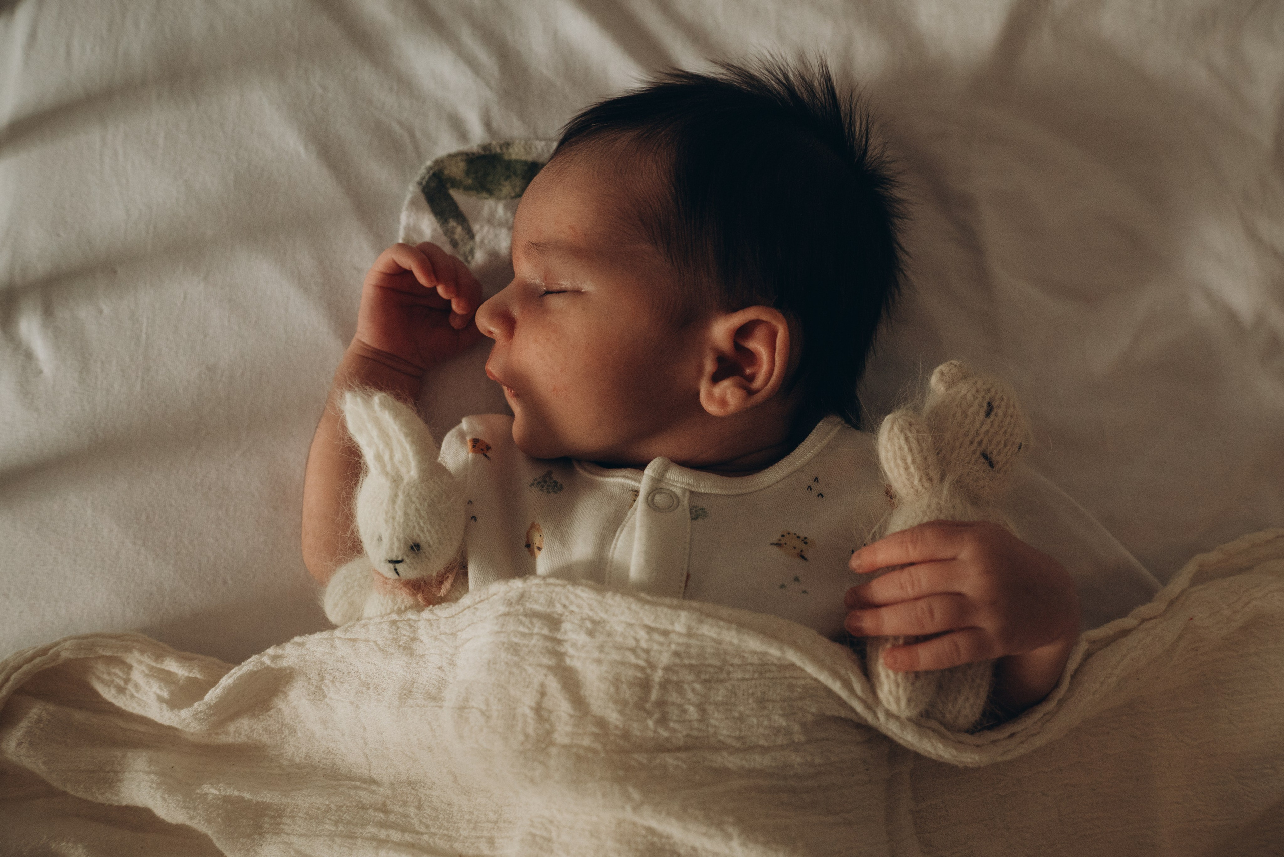 Маша + Вадим + Марк. Фотограф в Санкт-Петербурге Пономарева Юлия