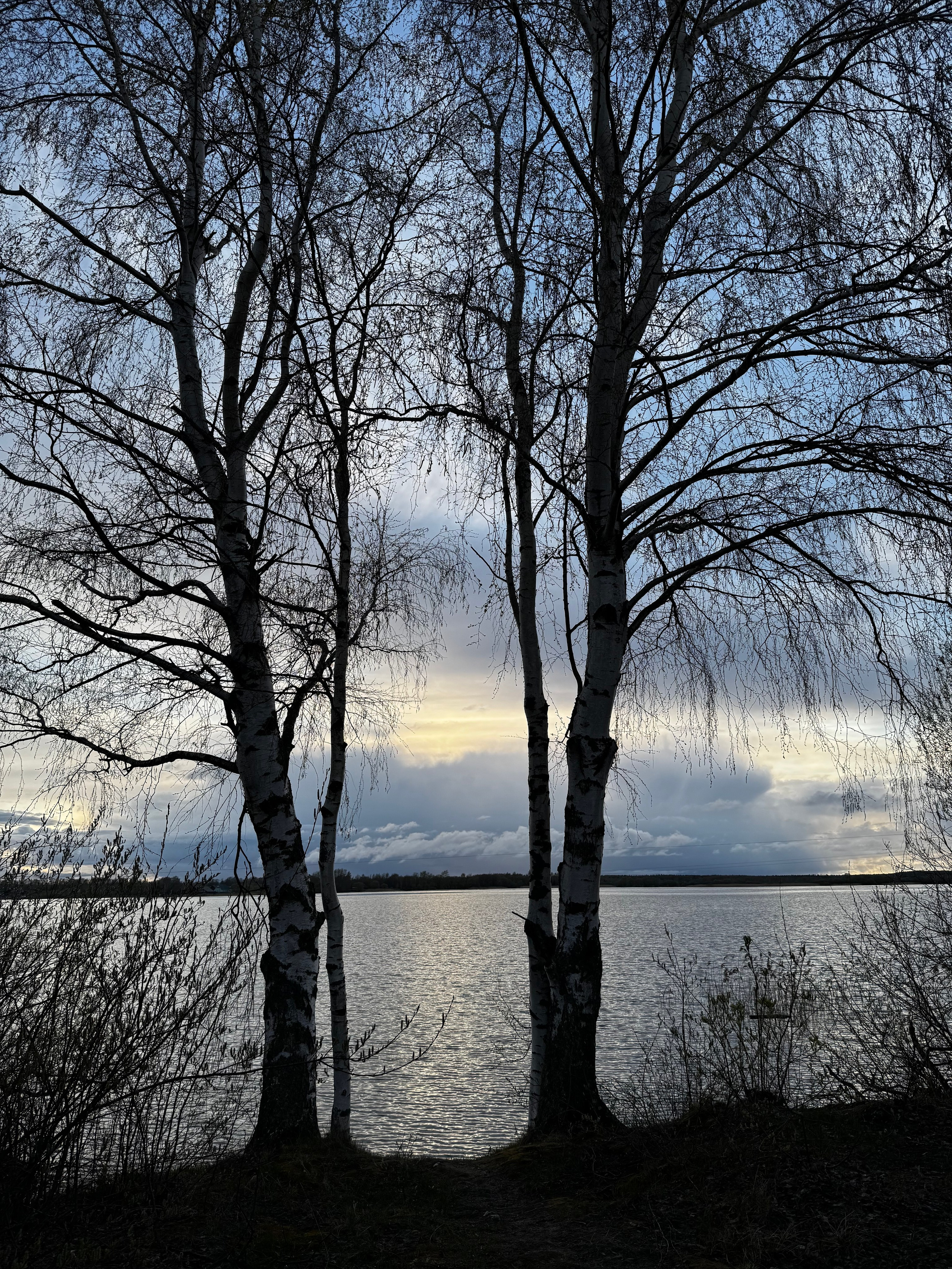 Рыбинск. Своя Мастерская