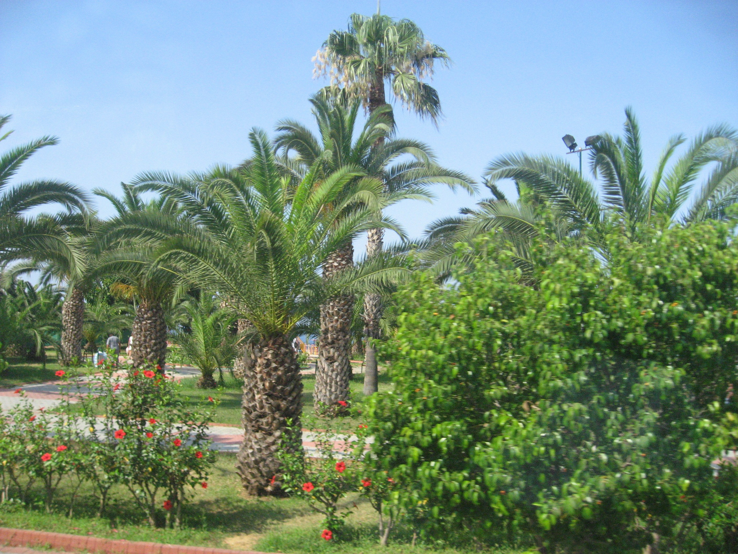 Турция. Главная