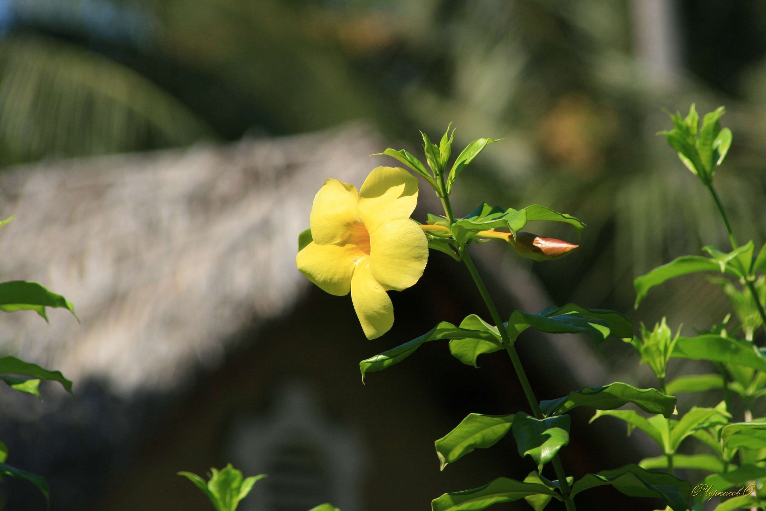 Вьетнам 2008 г. Улица, люди, жизнь…