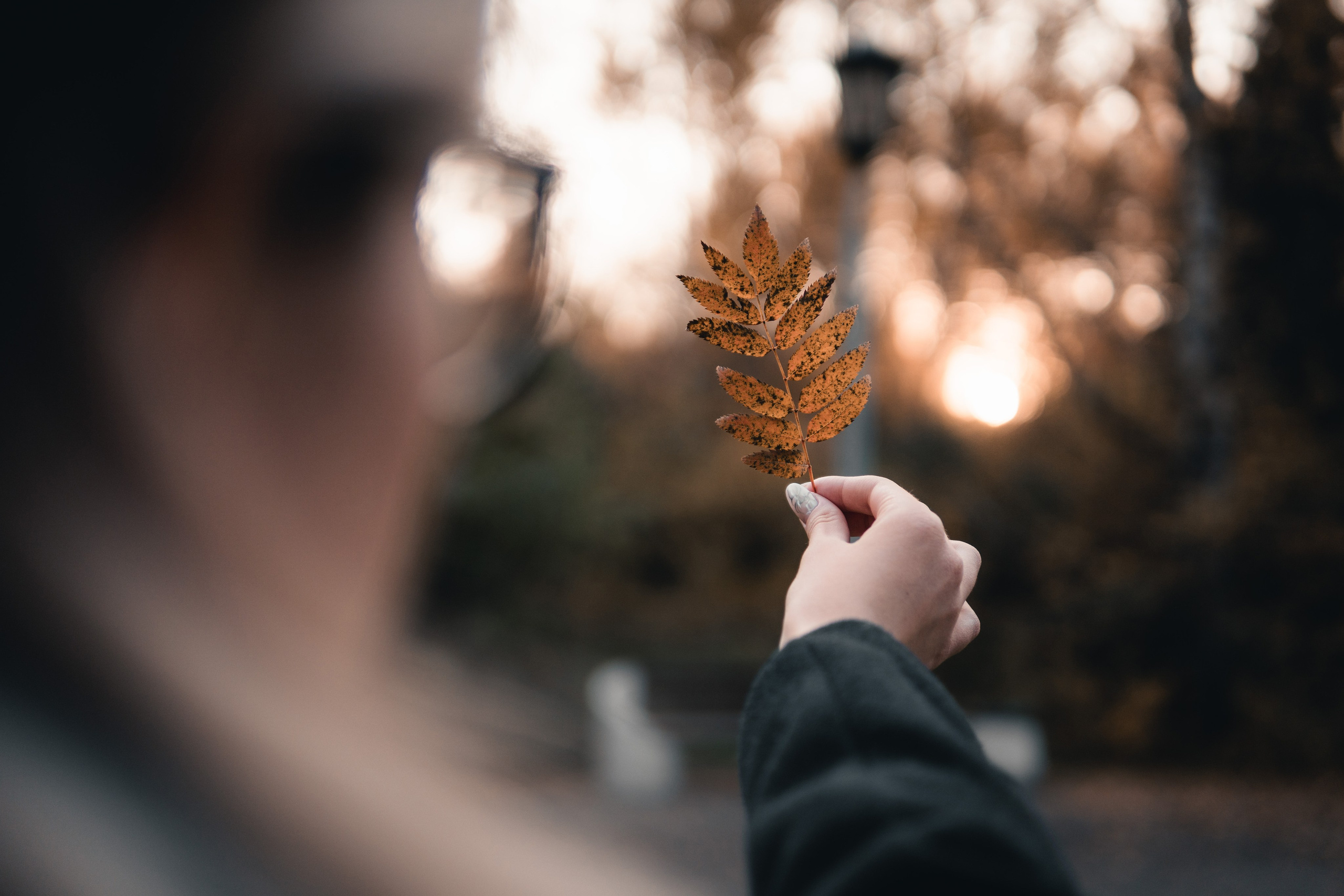 Прогулка по парку. Фотограф в Новосибирске