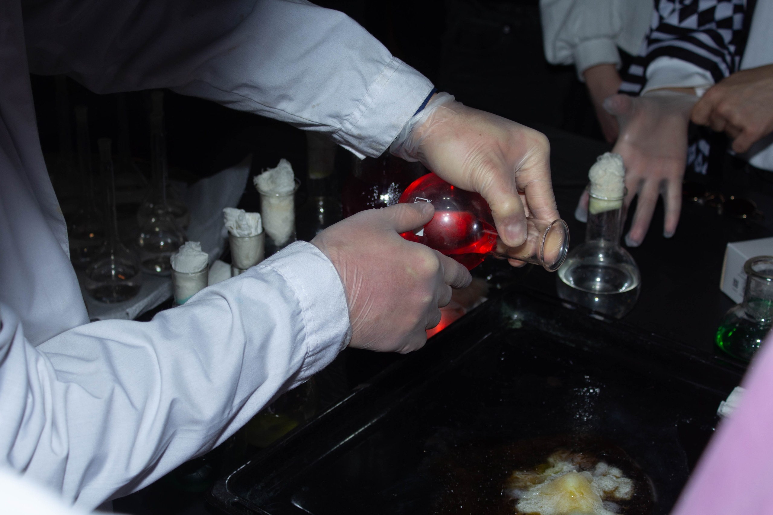 Ненаучка 2024. Карпогоры, Санкт-Петербург