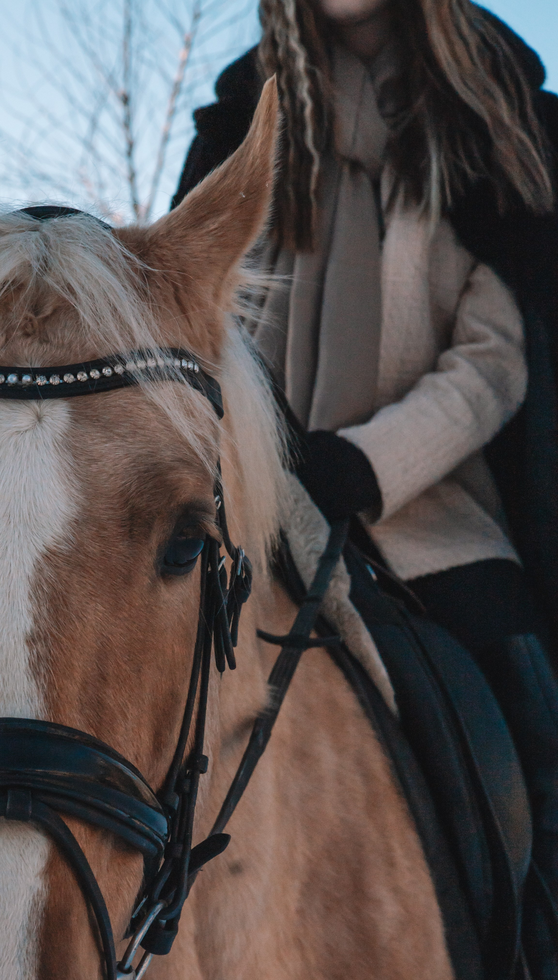 Как в сказке!