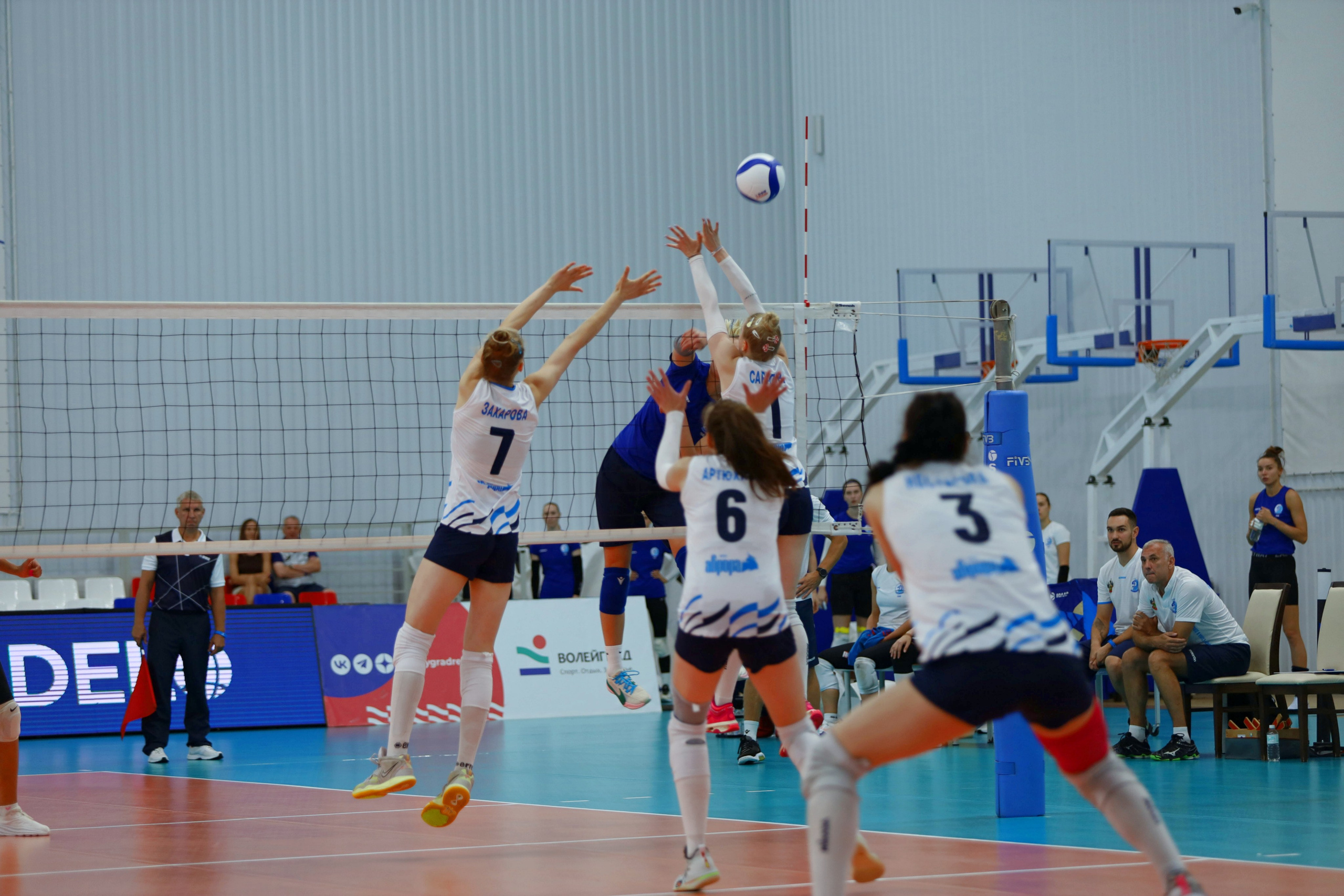 Волейбол ВФВ 09.08.24. Репортажный фотограф Анапа