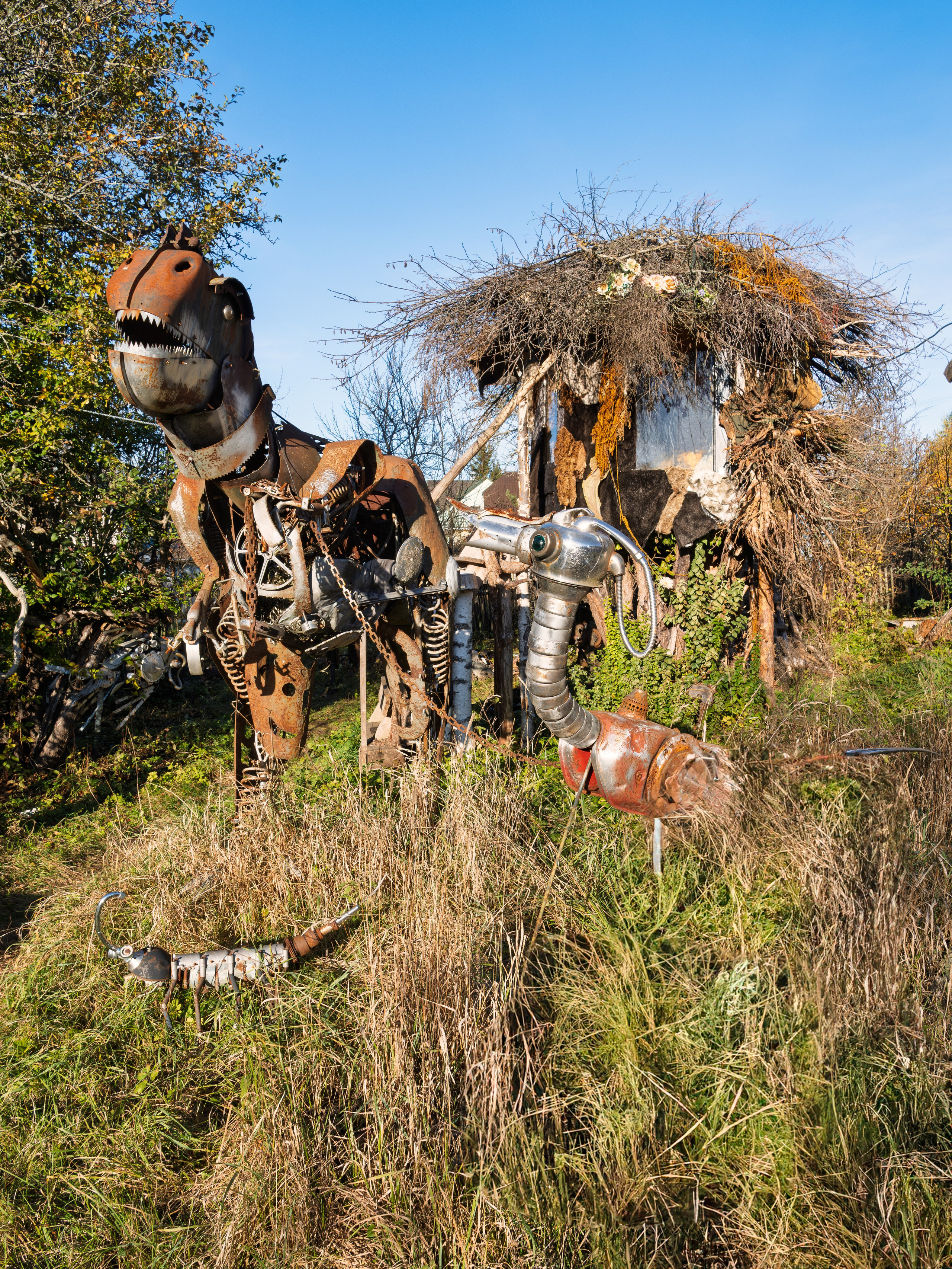 Голубые озера, Псковская область. Октябрь 2024. Фотограф Никифоров-Гордеев Сергей. Москва и МО