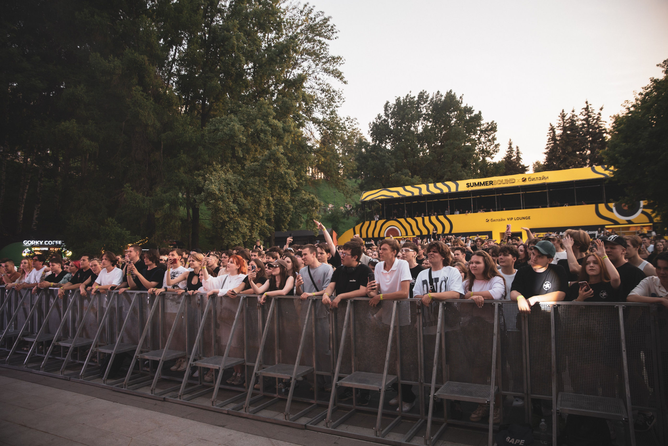 Saluki. Фотограф Нижний Новгород — Дмитрий Грехов