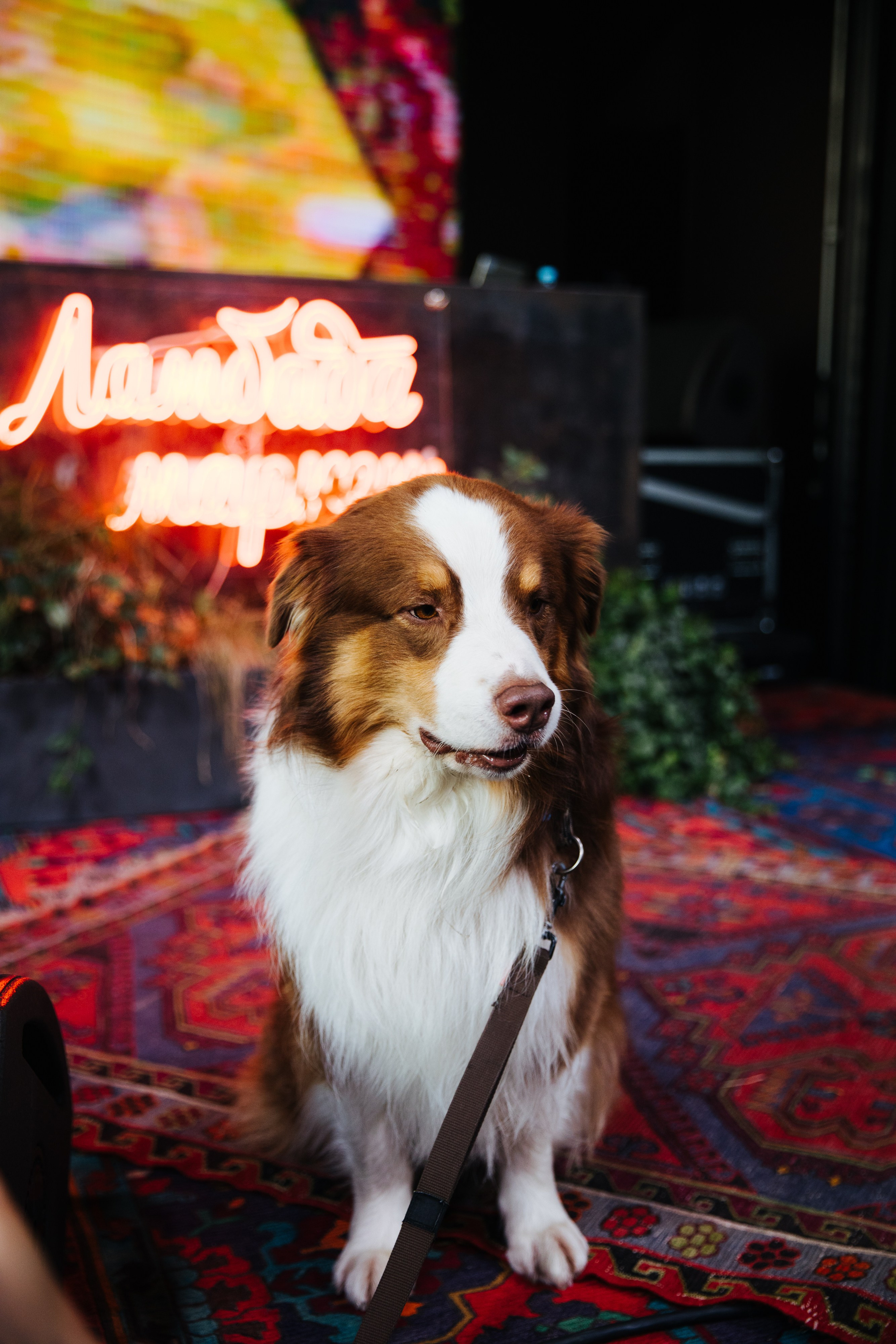 14–15 августа 2021 в «Стрелке». Фотоотчеты «Ламбада-маркета»